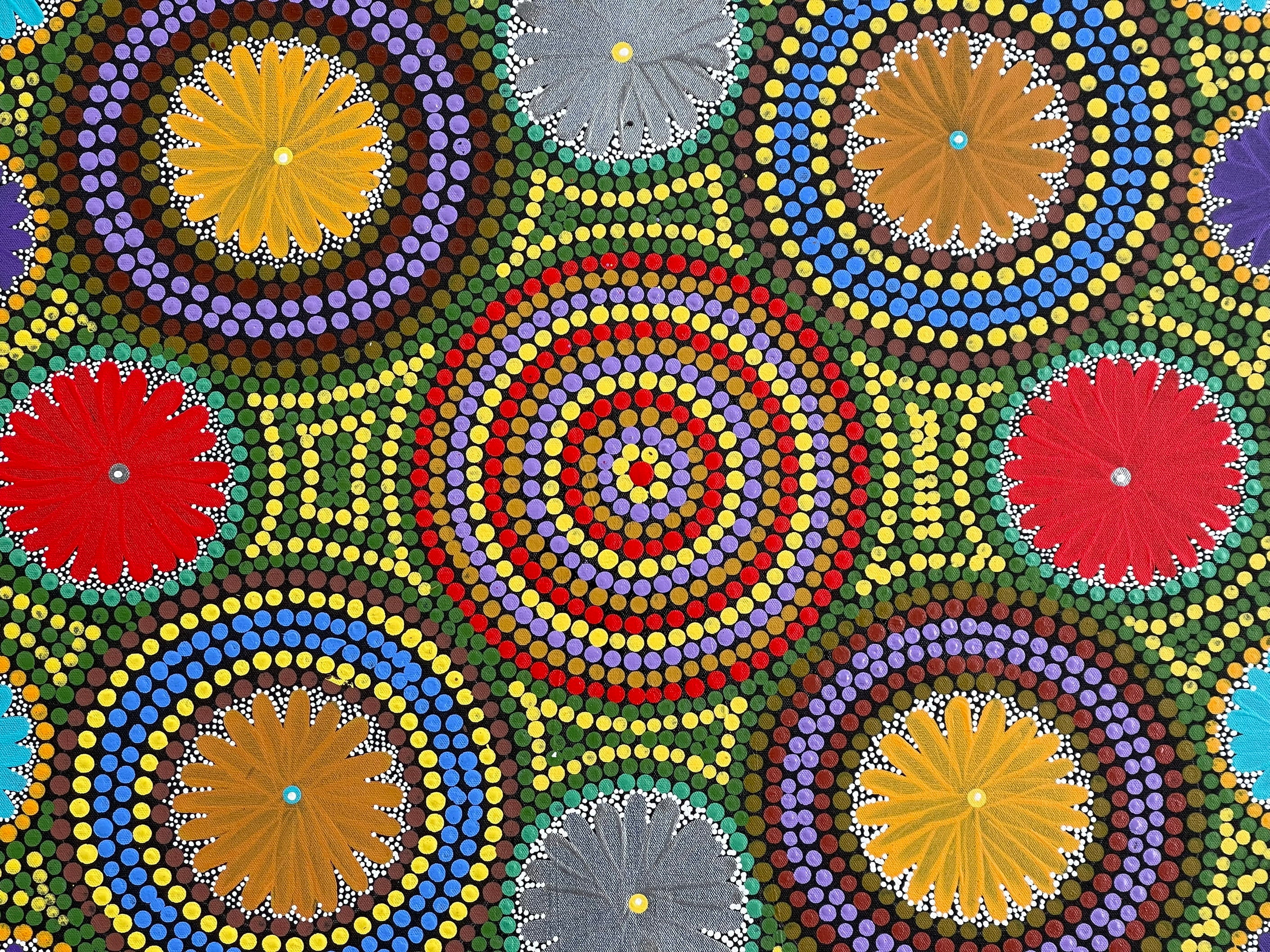 Maryanne Gibson - Bush Seeds, Bush Flowers, and Bush Medicine - 94x87cm .27-2