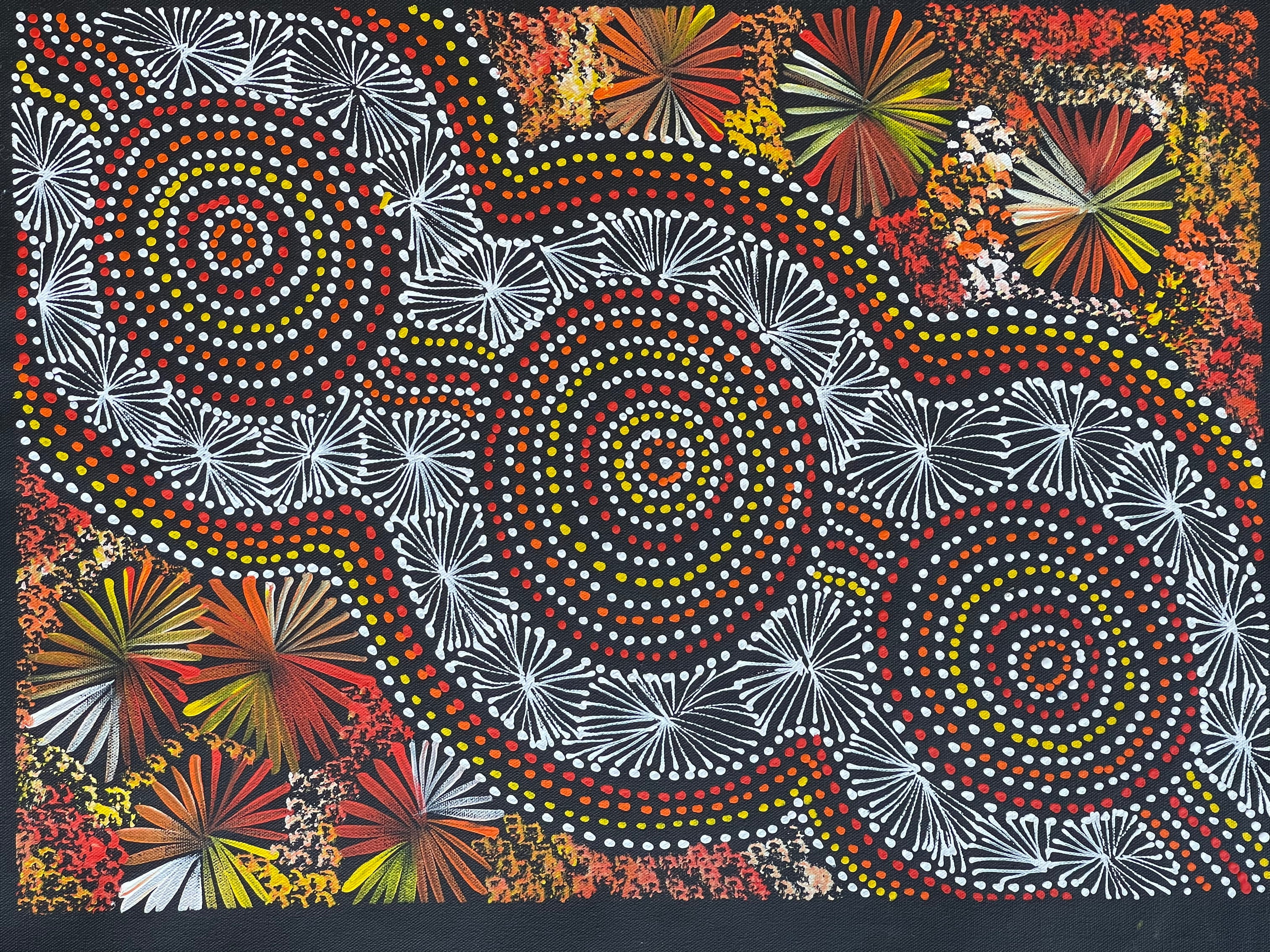Selina Numina Kamprina - Bush Seeds and Waterholes .31-10