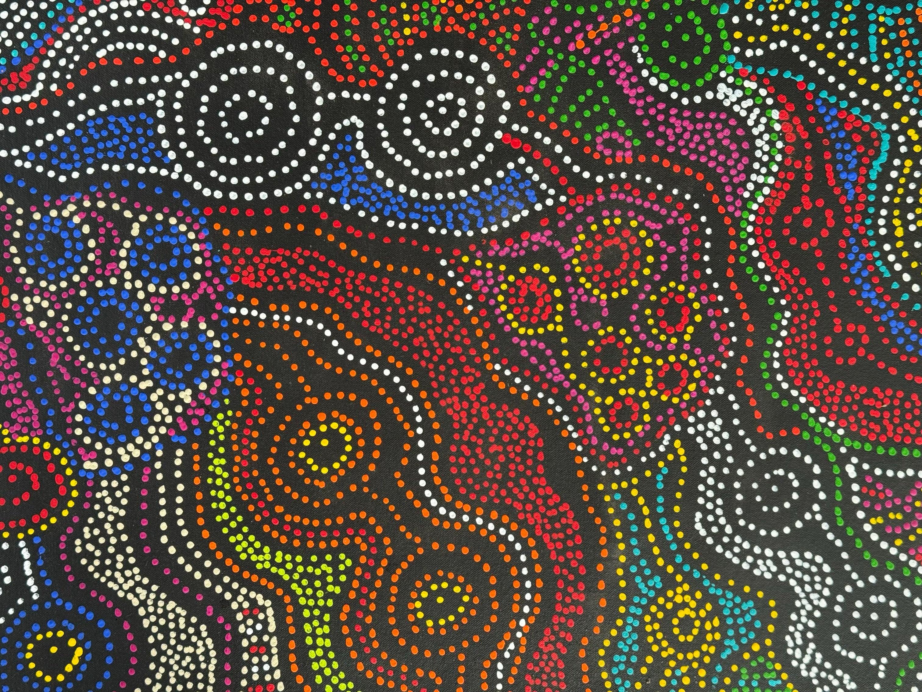 Louise Numina Napananka - Emu Dreaming .65-14