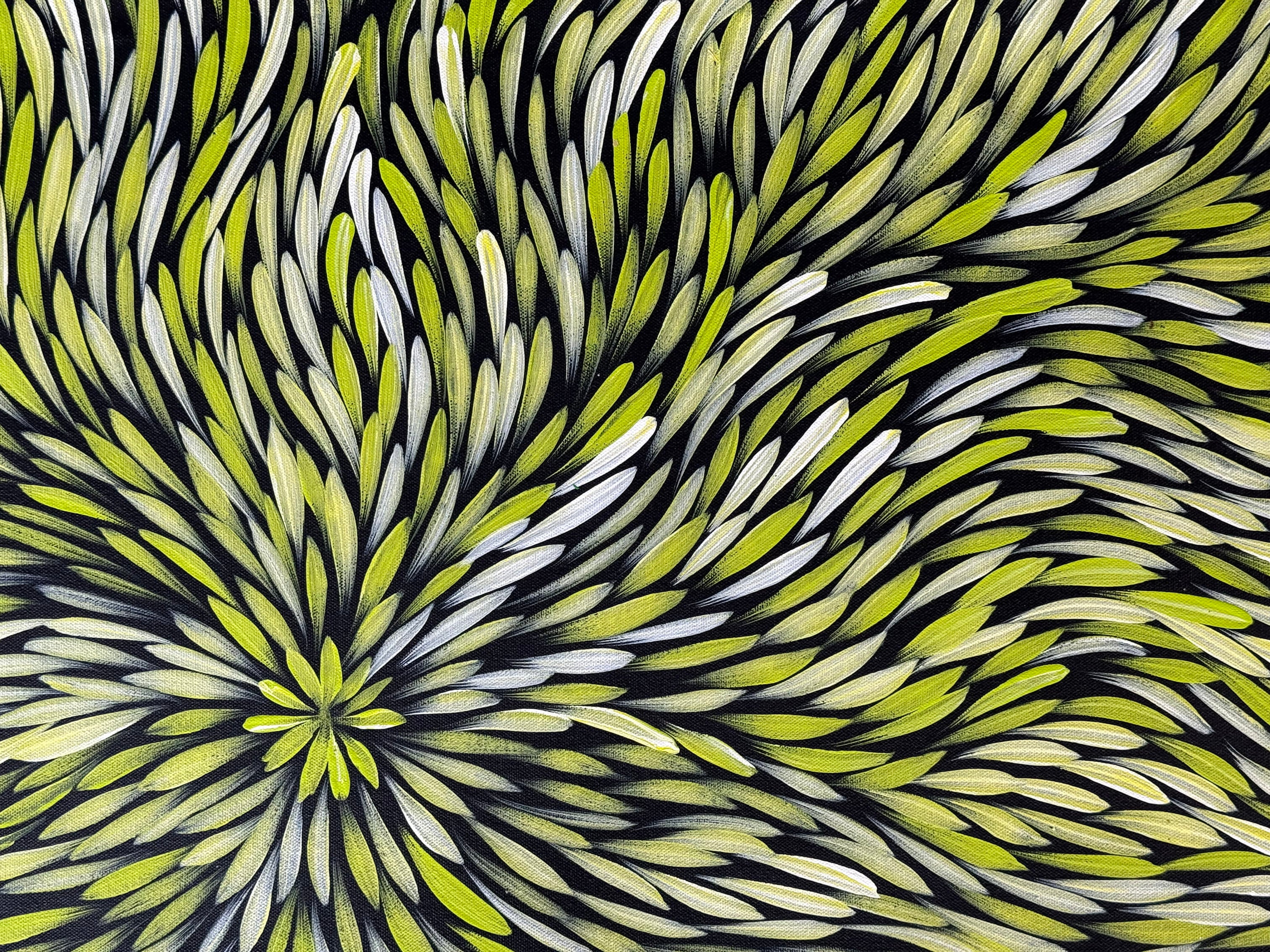 Sharon Numina - Bush Medicine Leaves - 69x92cm .14-23