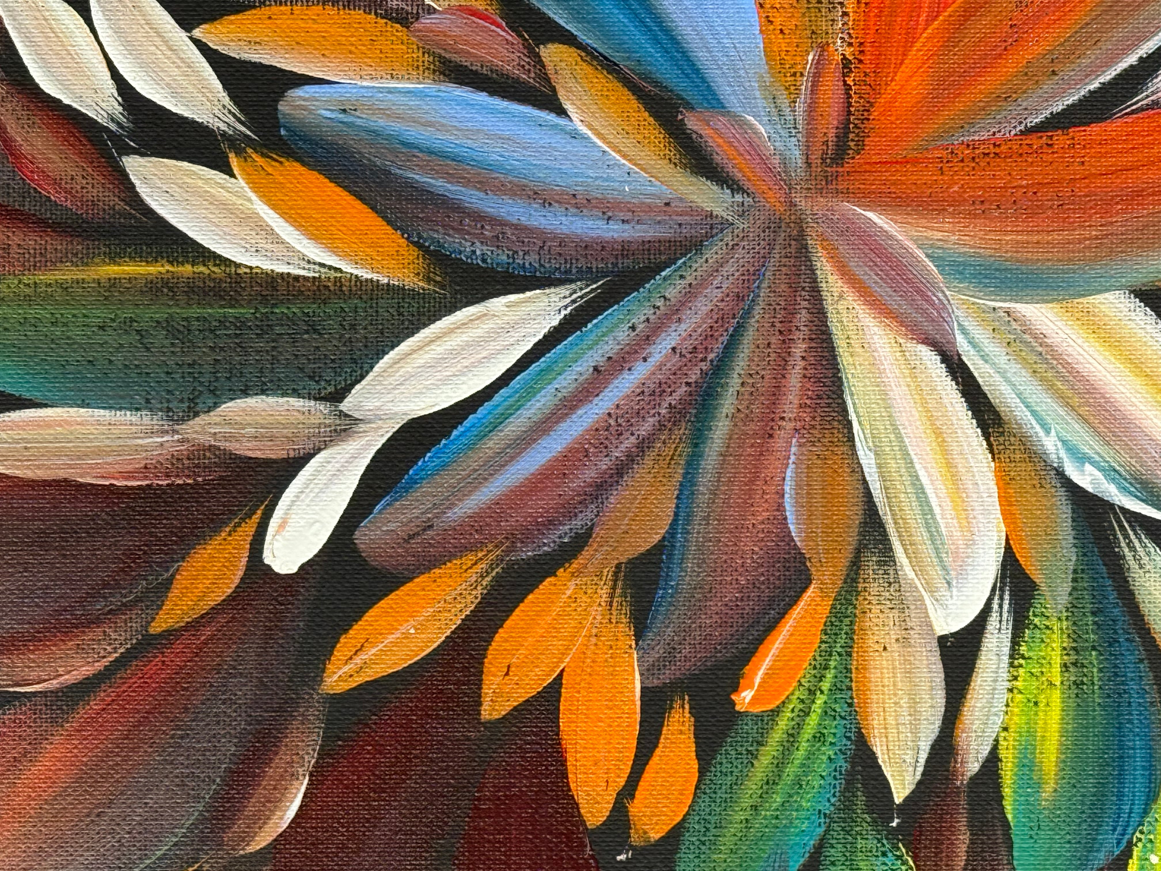 Louise Numina Napananka - Bush Medicine Leaves .24-12