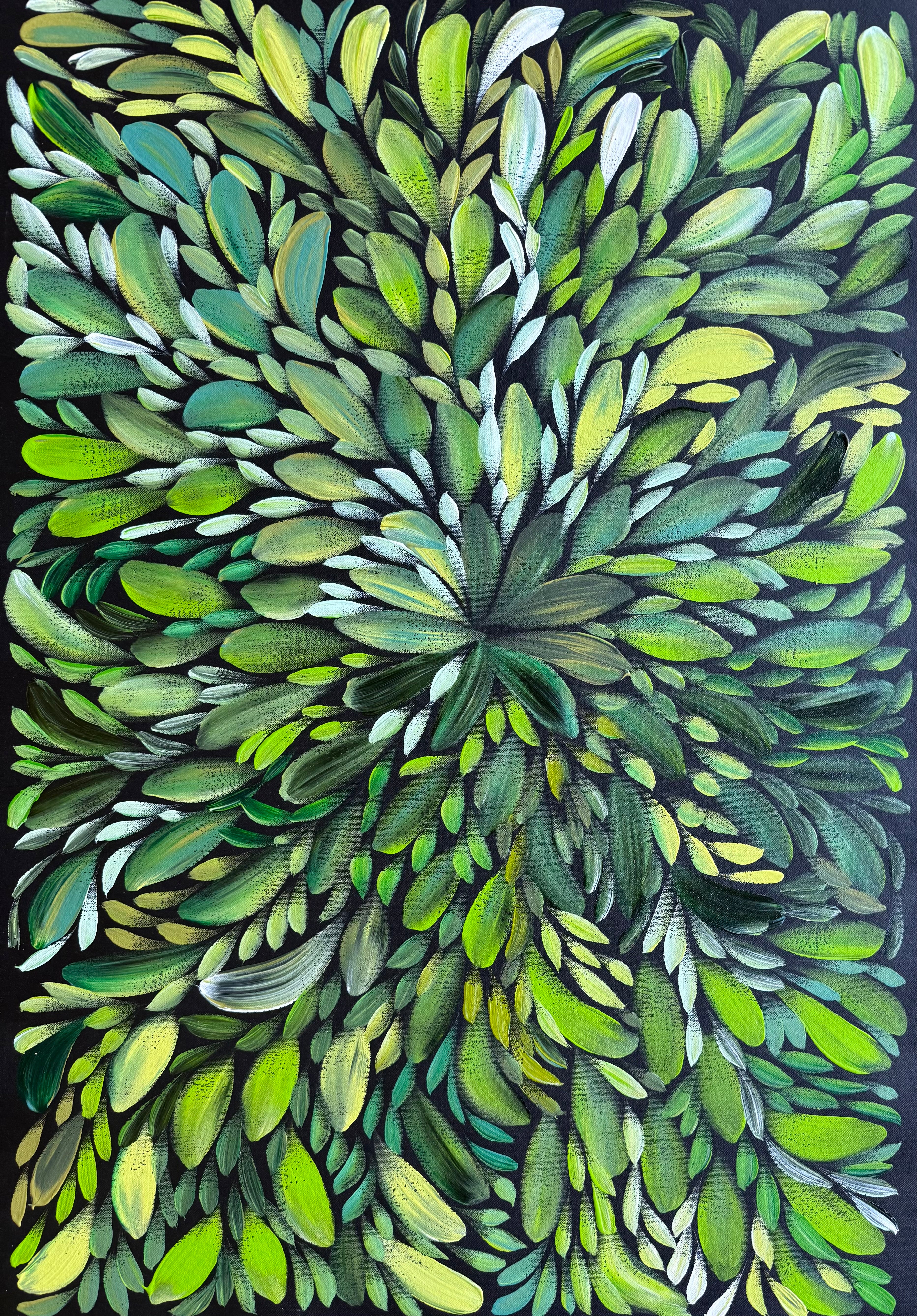 Louise Numina Napananka - Bush Medicine Leaves .22-12