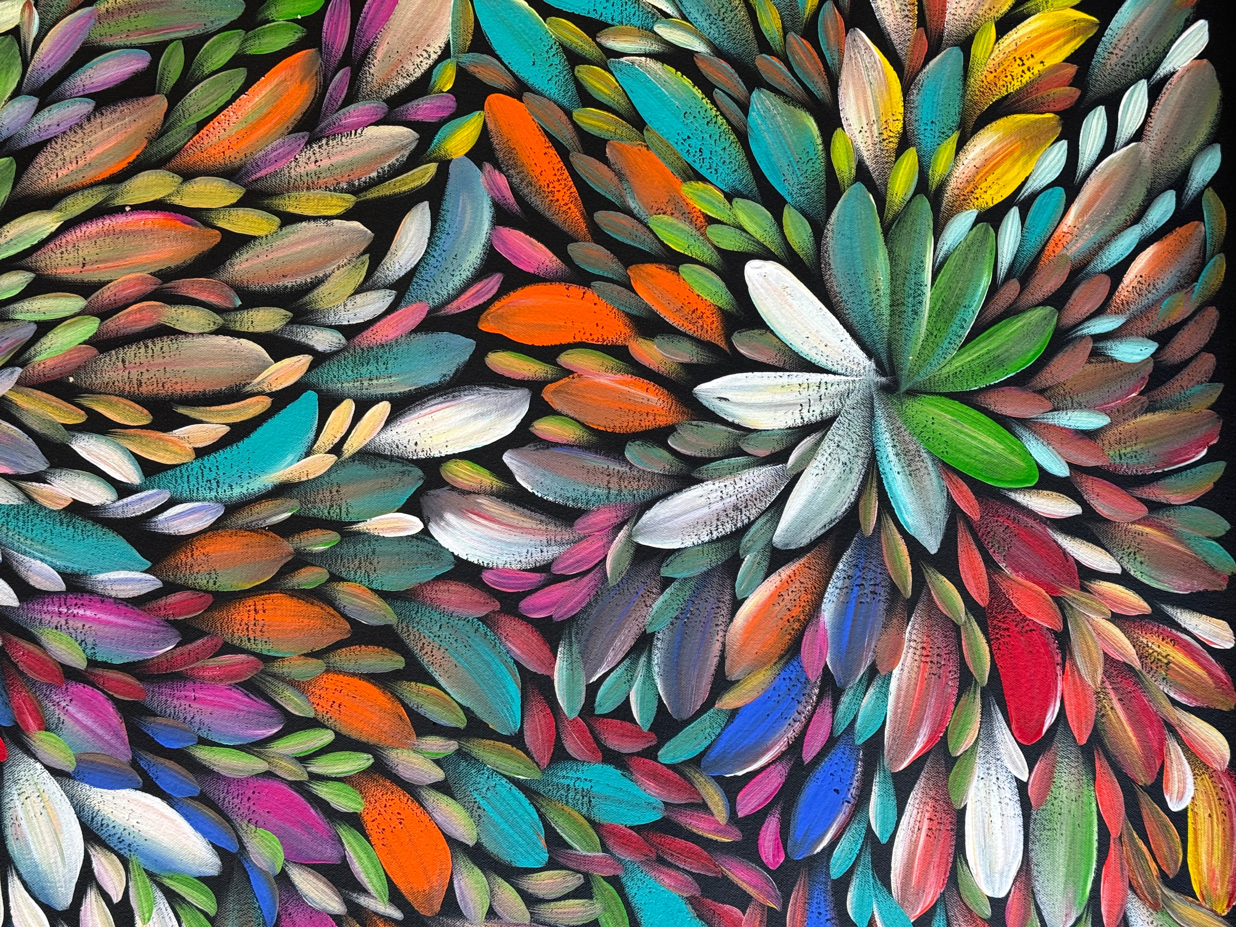 Louise Numina Napananka - Bush Medicine Leaves .21-19