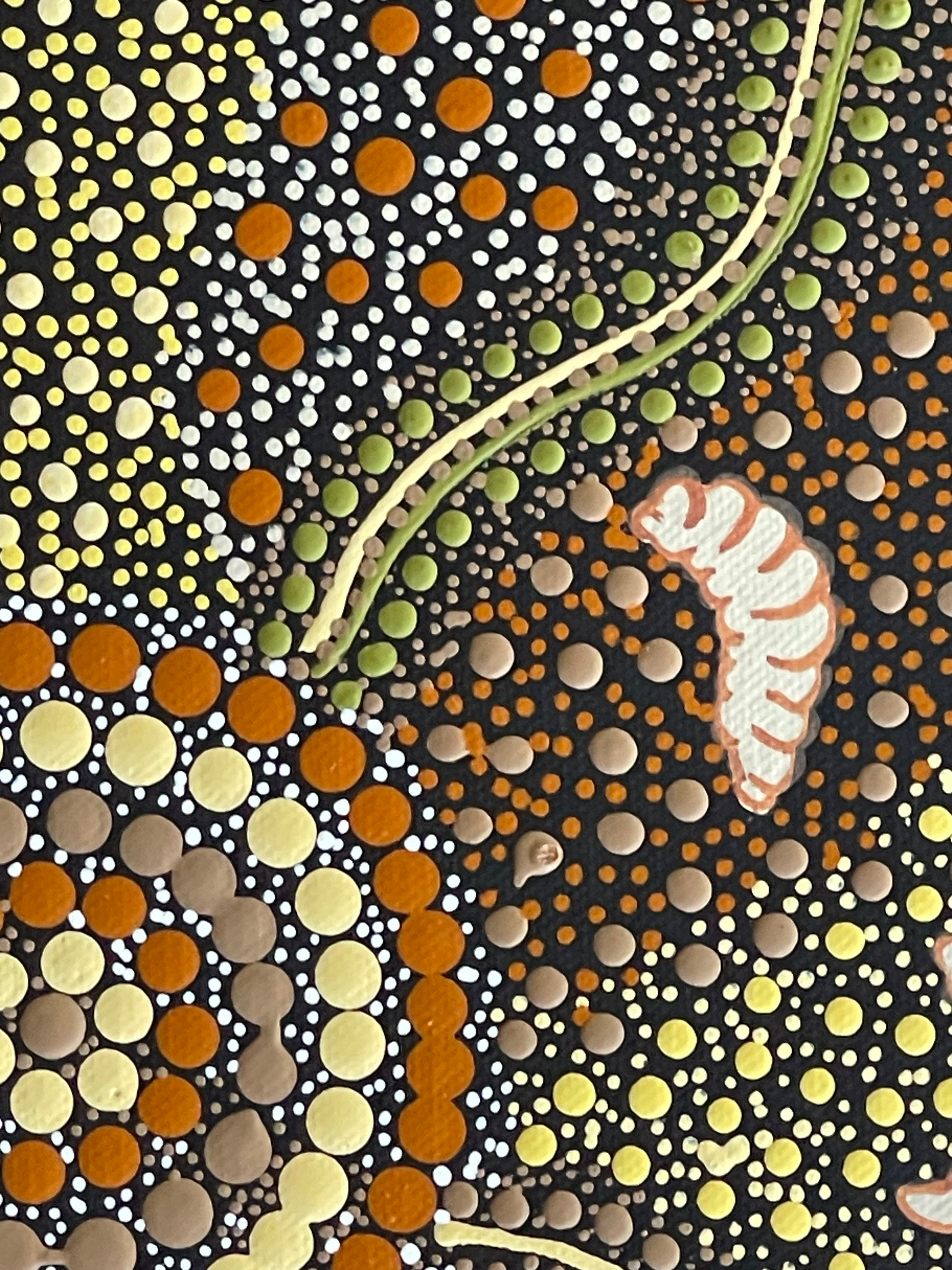 Deidre Burgoyne Rosier - Women Out Gathering Witchetty Grubs from the Acacia Bush - 30x30cm .90-14 *stretched ready to hang*