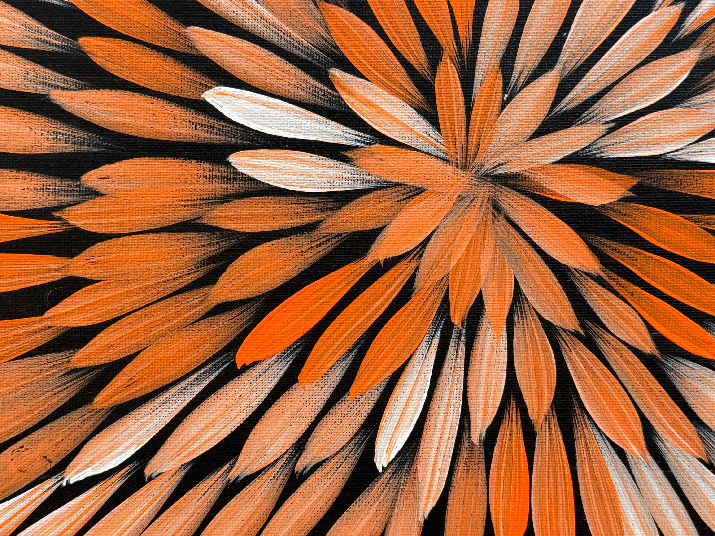 Jacinta Numina Waugh - Bush Medicine Leaves .81-20