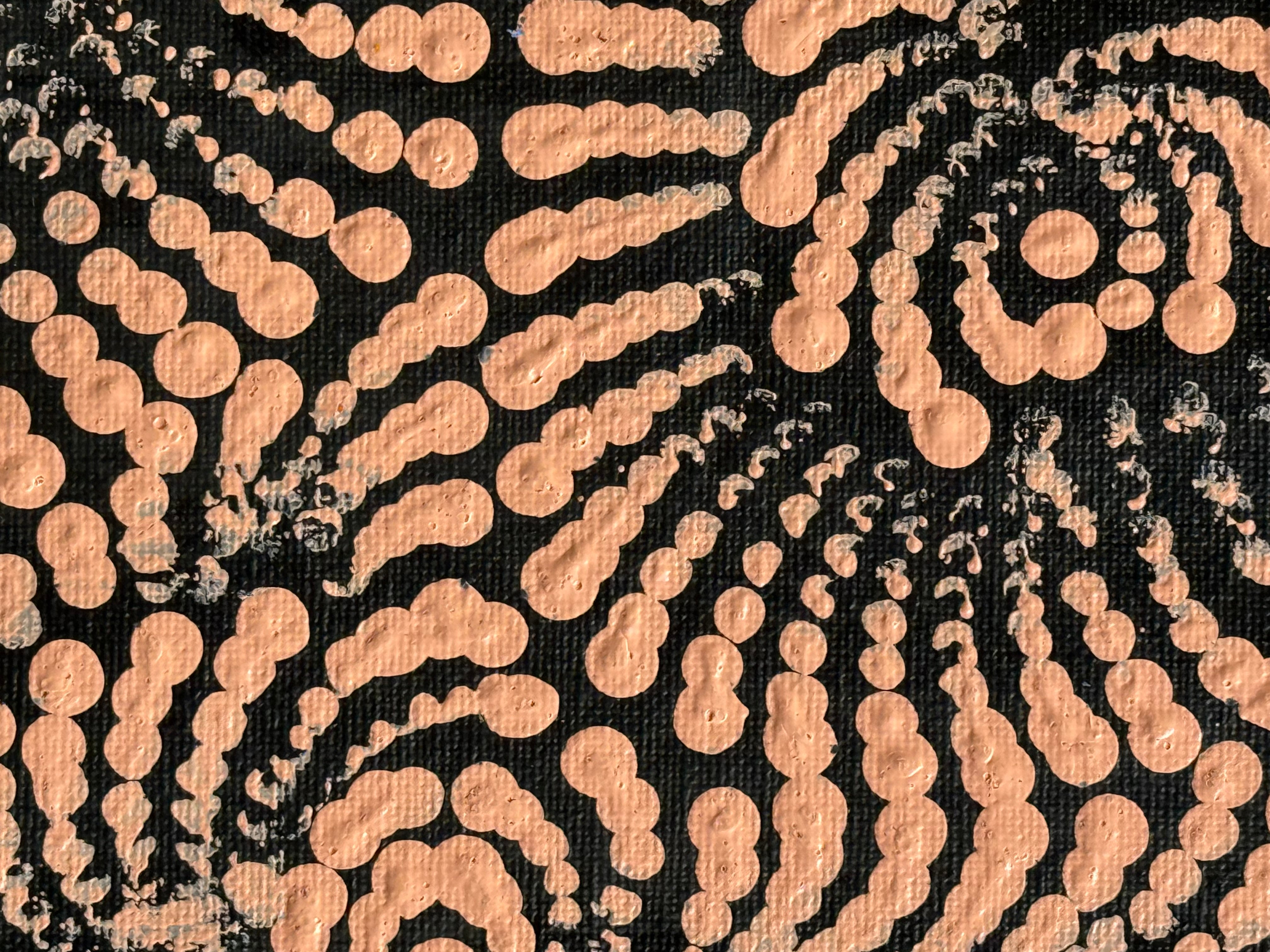 Maria Nampijinpa Brown - Flying Ants .12-4