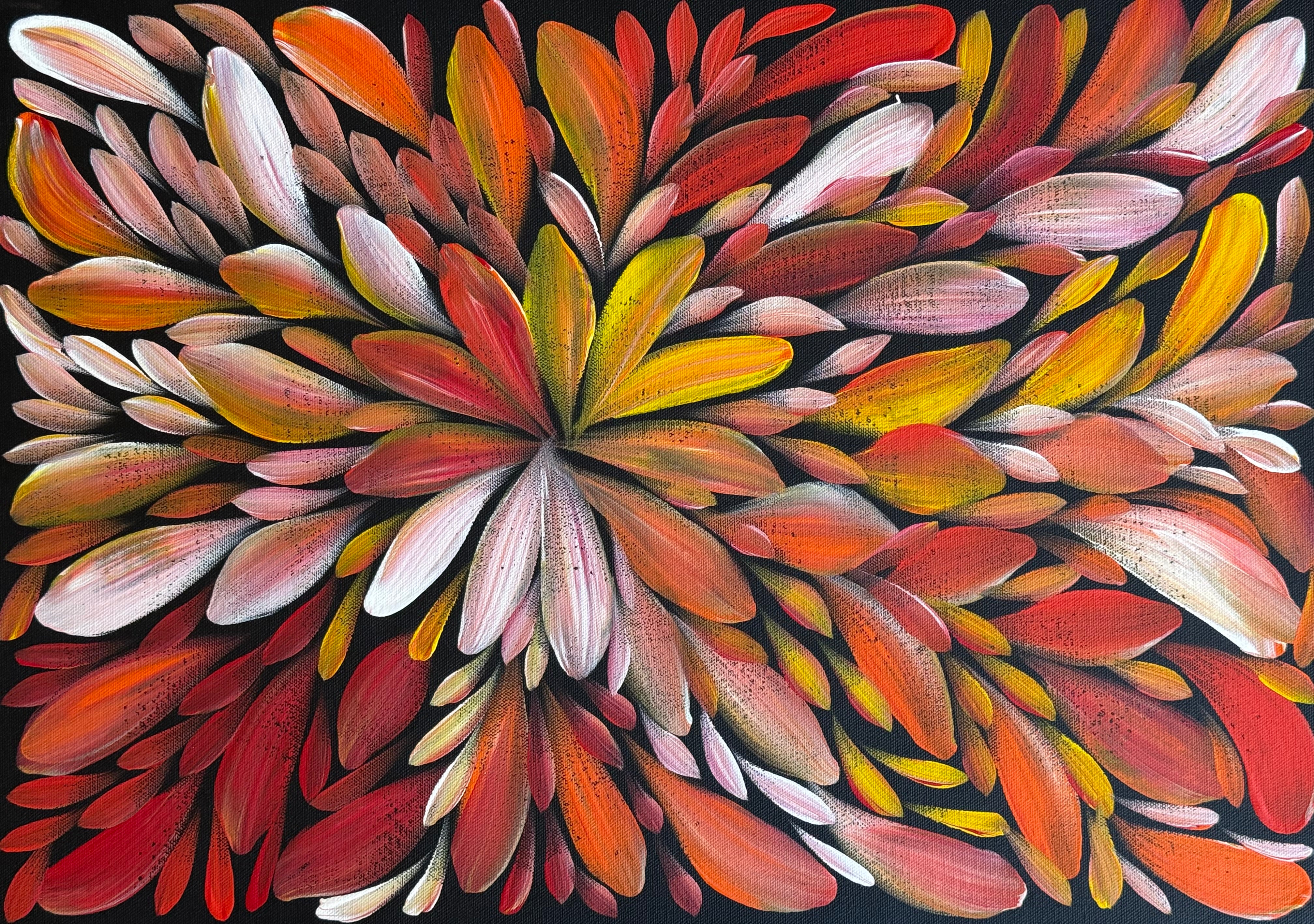 Louise Numina Napananka - Bush Medicine Leaves .57-78