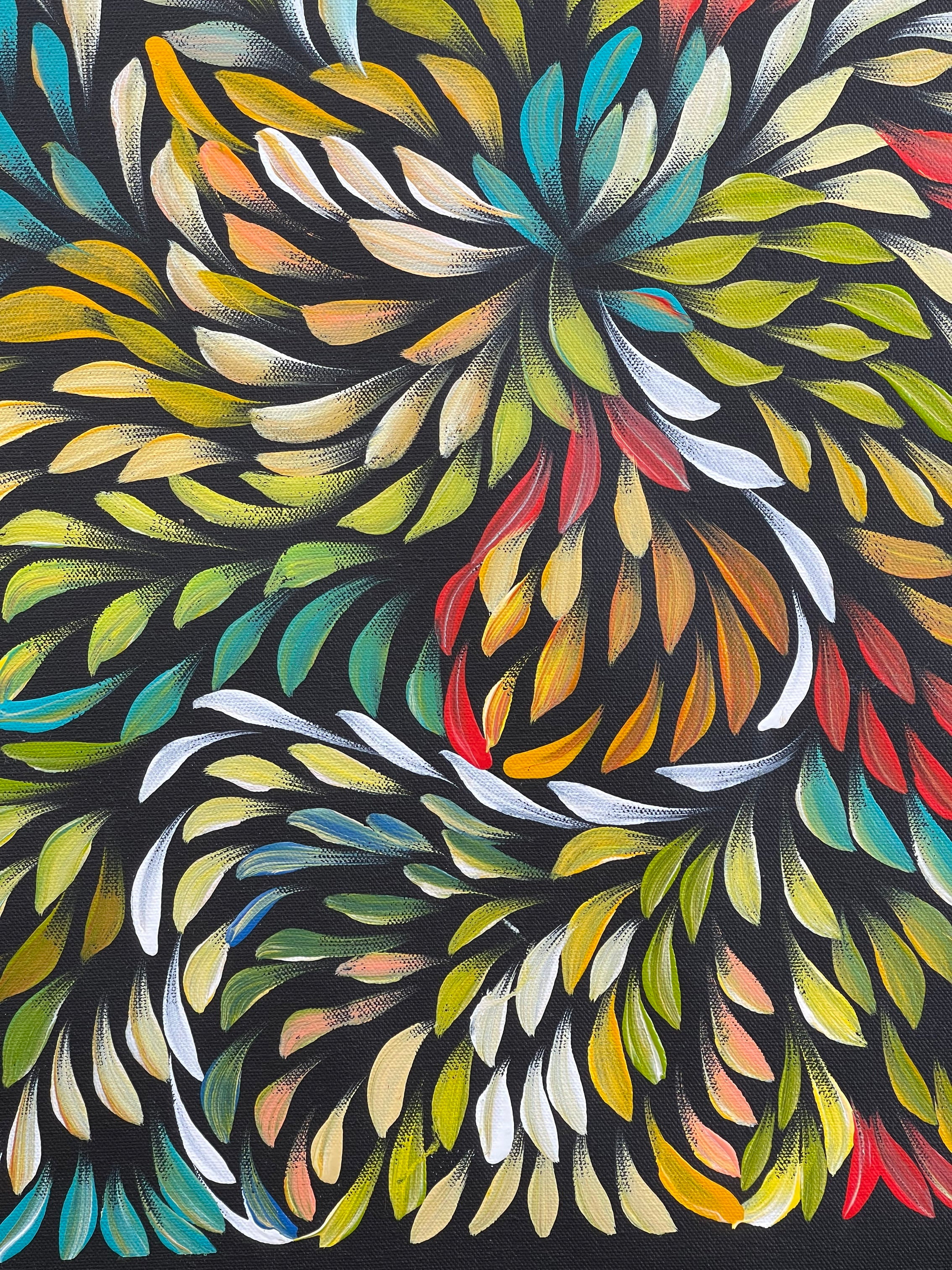 Caroline Numina - Bush Medicine Leaves .31-11