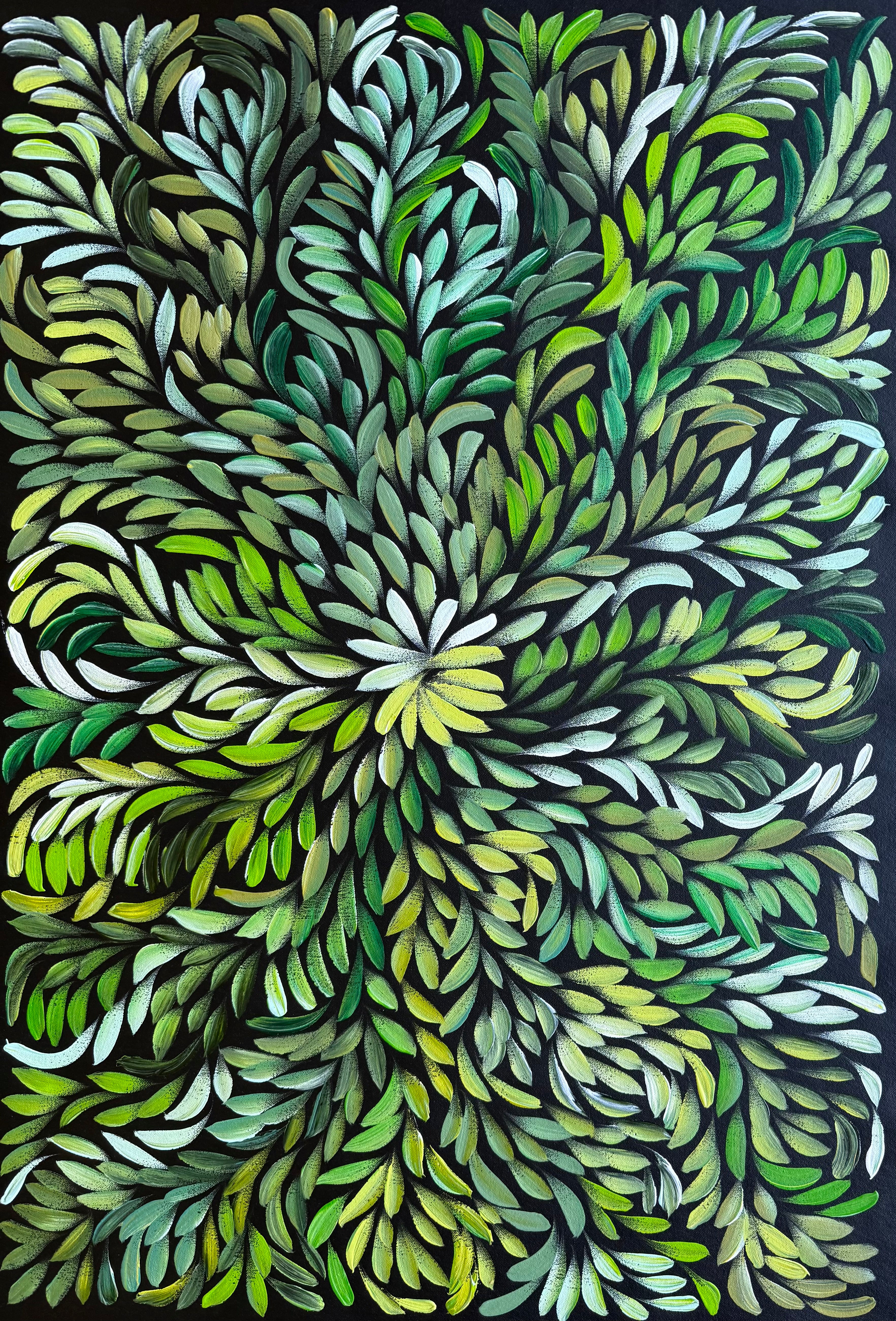 Louise Numina Napananka - Bush Medicine Leaves .22-13