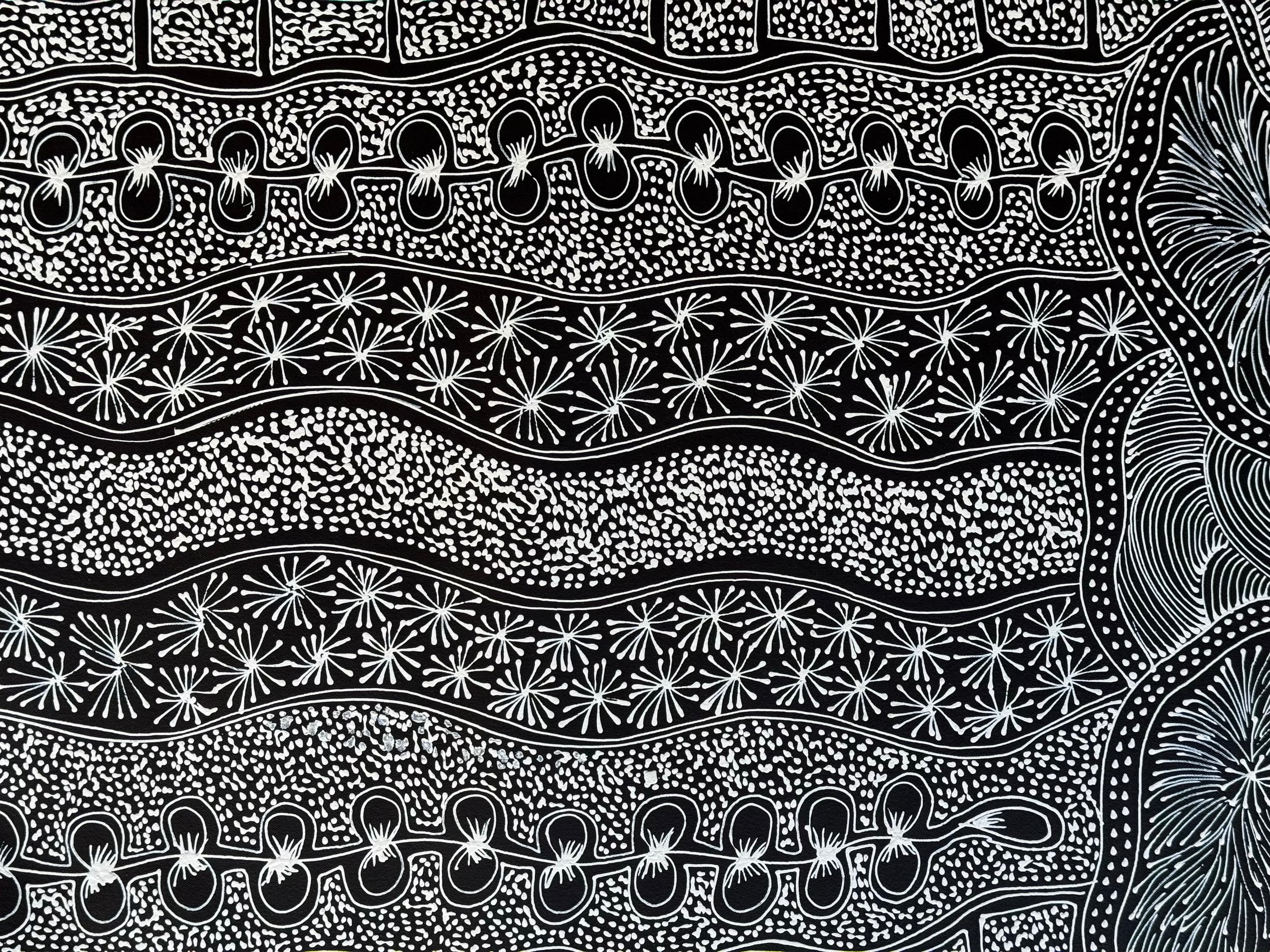 Sharon Numina - Women Collecting Bush Foods and Bush Medicine .40-10