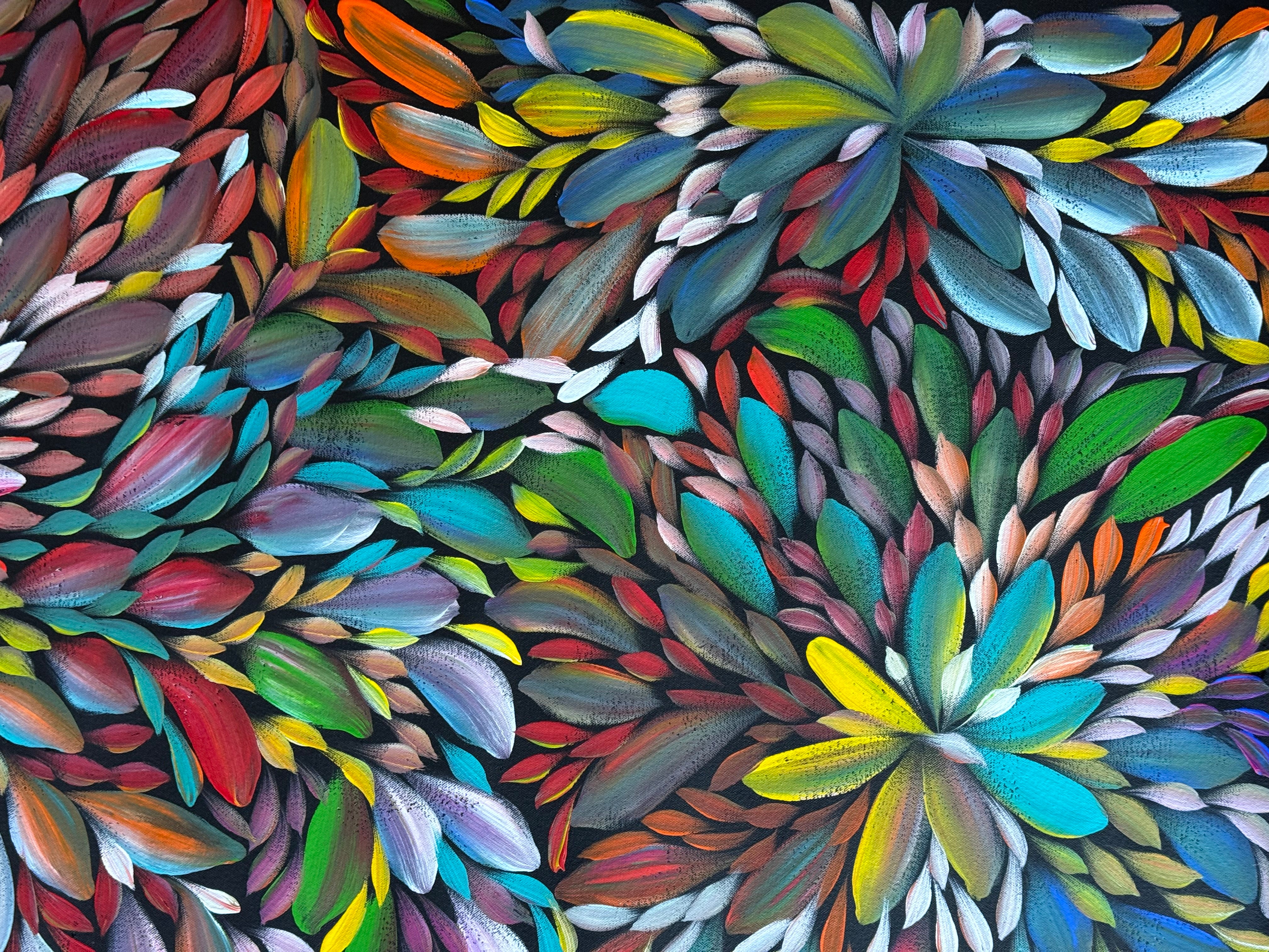Louise Numina Napananka - Bush Medicine Leaves .43-3A