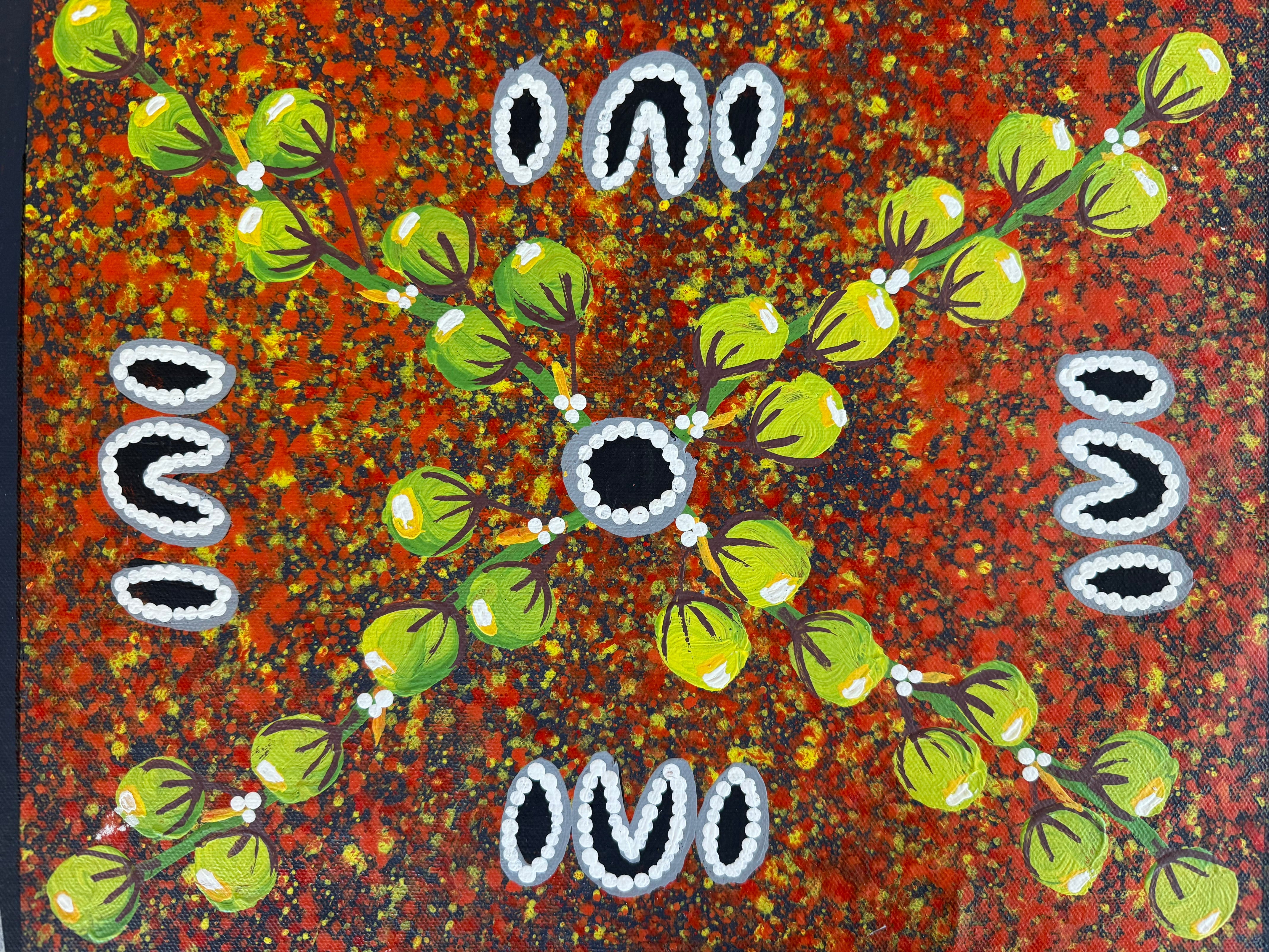 Reggie Sultan  - Collecting Bushgrapes .02-20