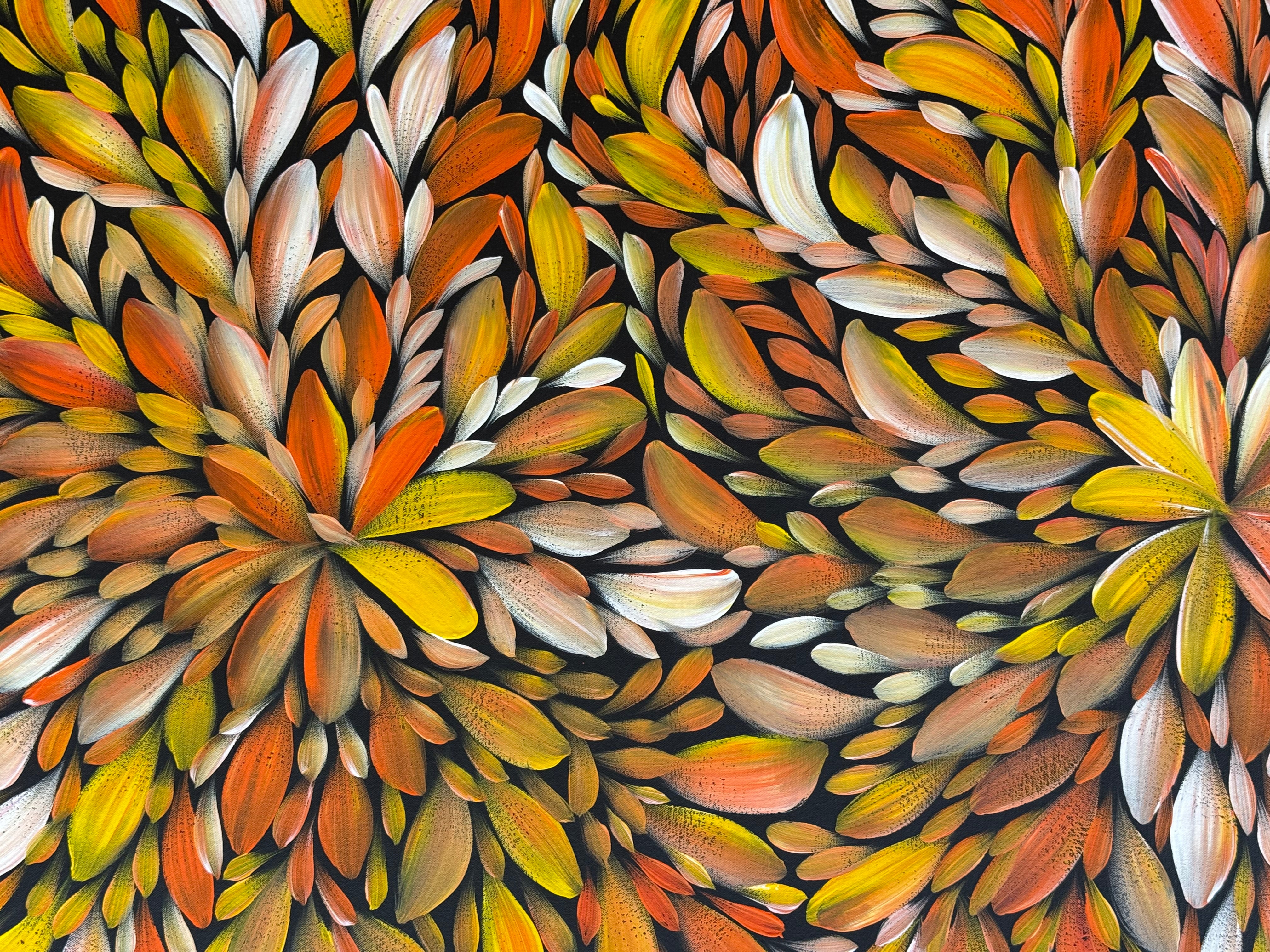 Louise Numina Napananka - Bush Medicine Leaves .57-58