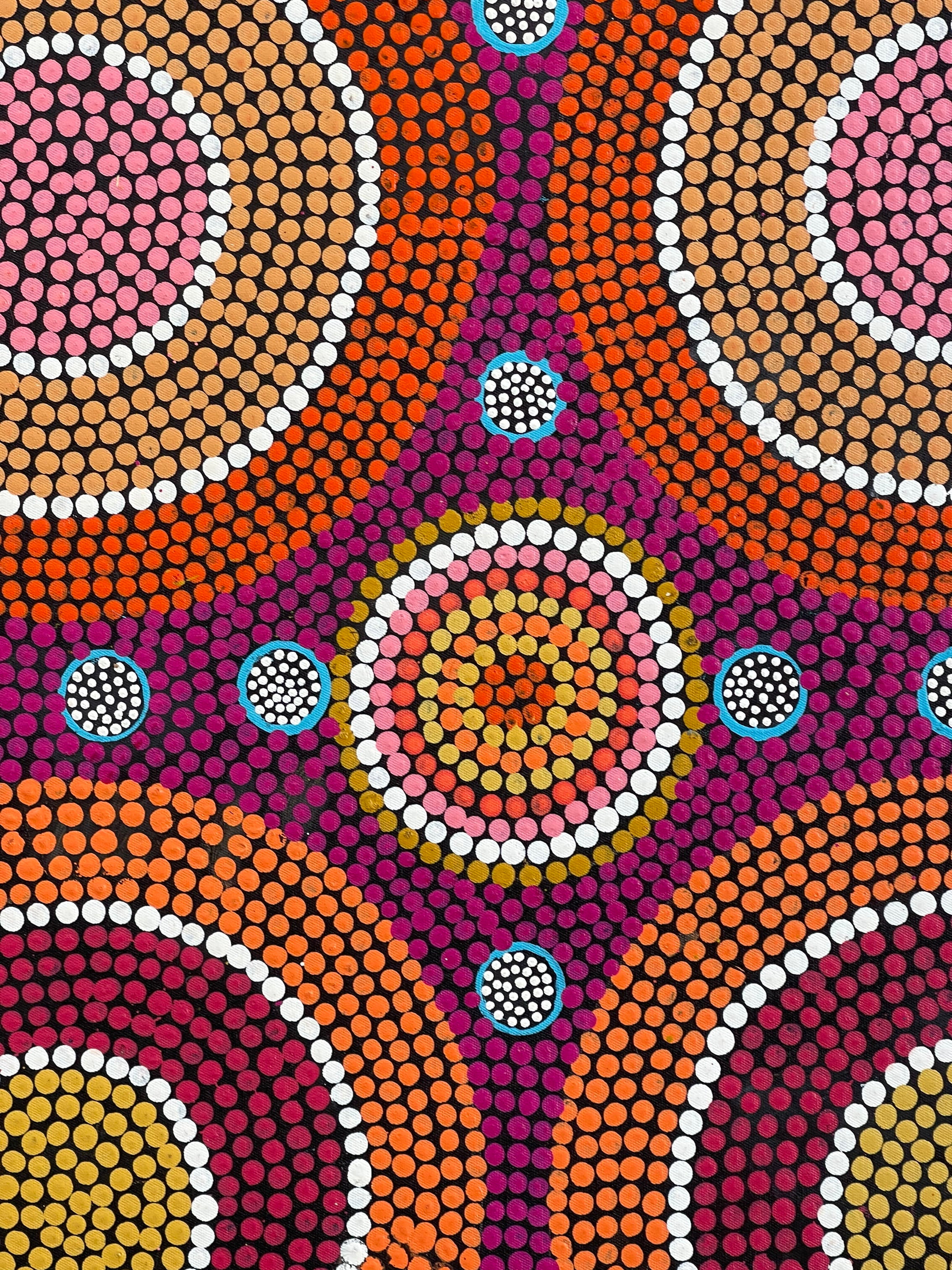 Maryanne Gibson - Bush Seeds, Wild Bush Flowers - 57x94cm .54-1