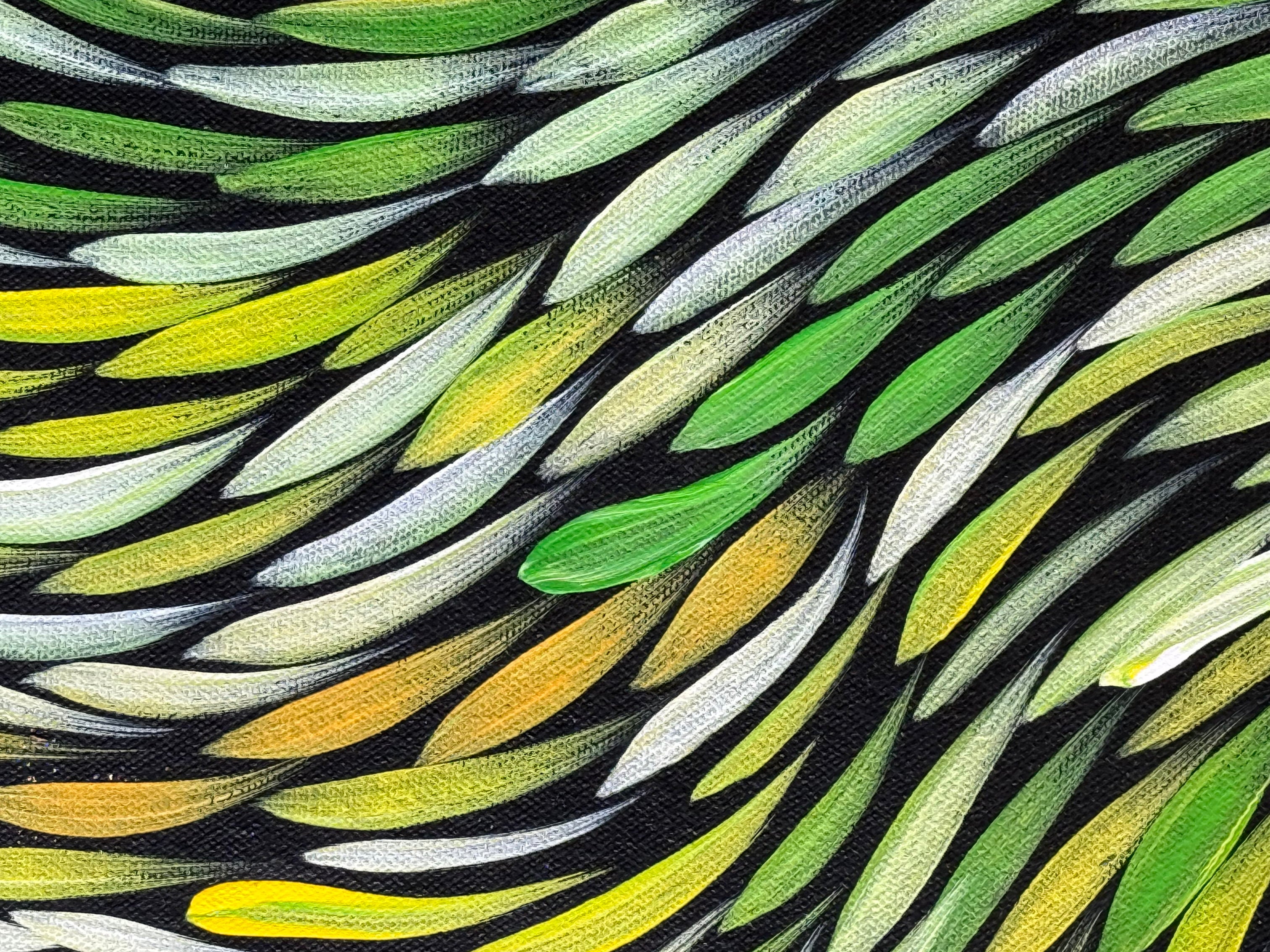 Sharon Numina - Bush Medicine Leaves - 67x89cm .14-26