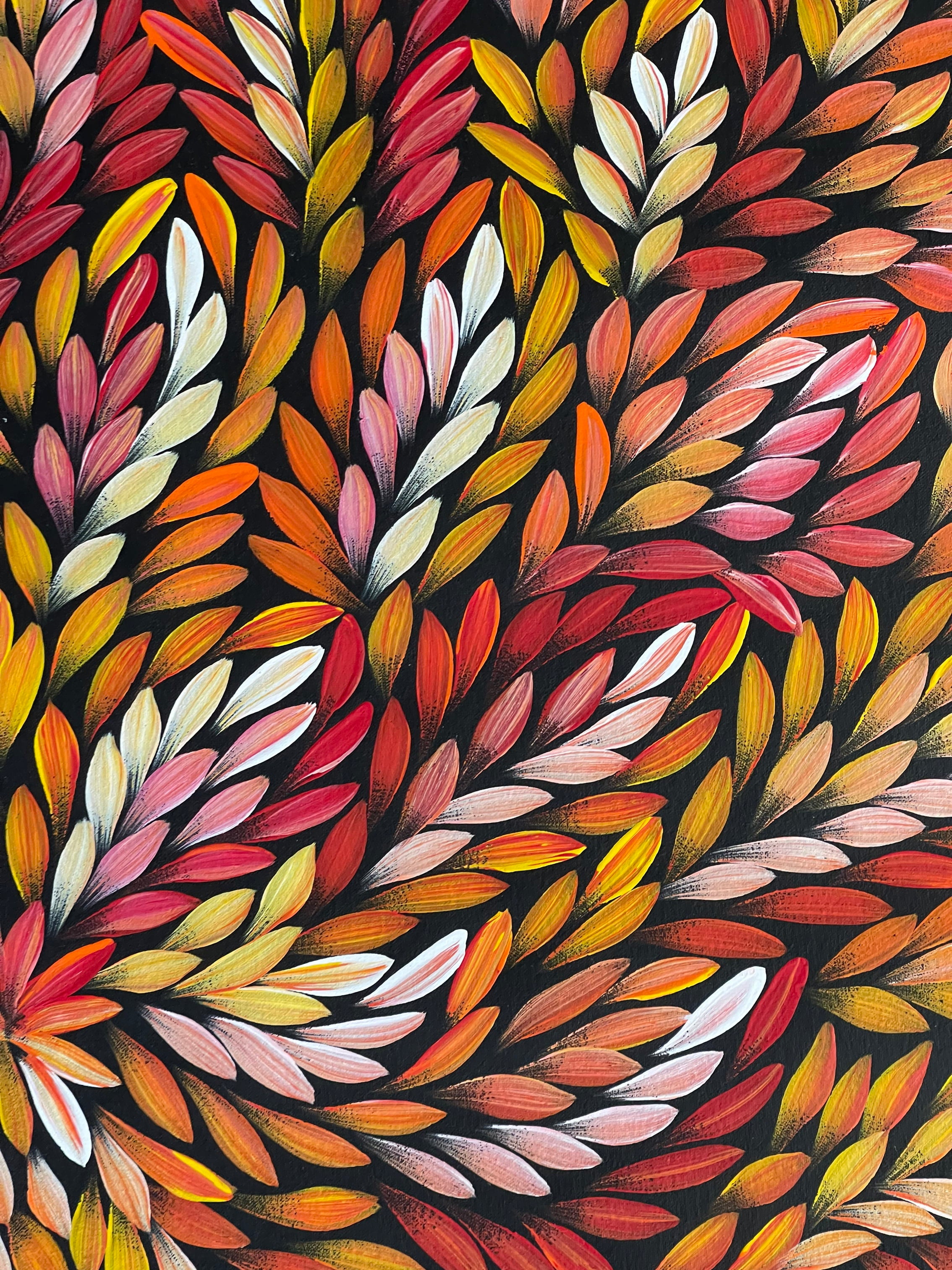 Jacinta Numina - Bush Medicine Leaves - 96x93cm .67-1