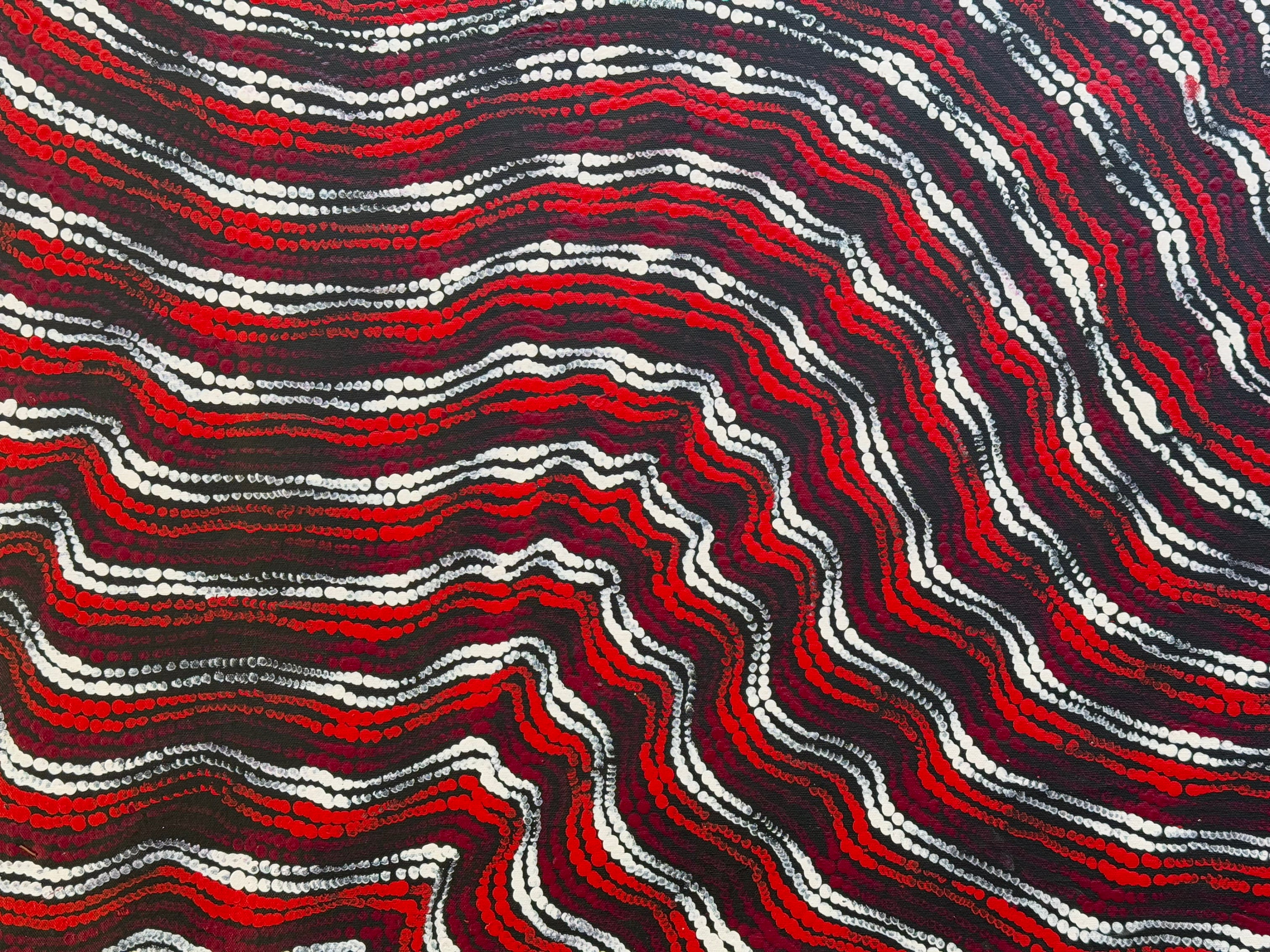 Maria Nampijinpa Brown - Pamapardu Jukurrpa (Flying Ant Dreaming) .27-2