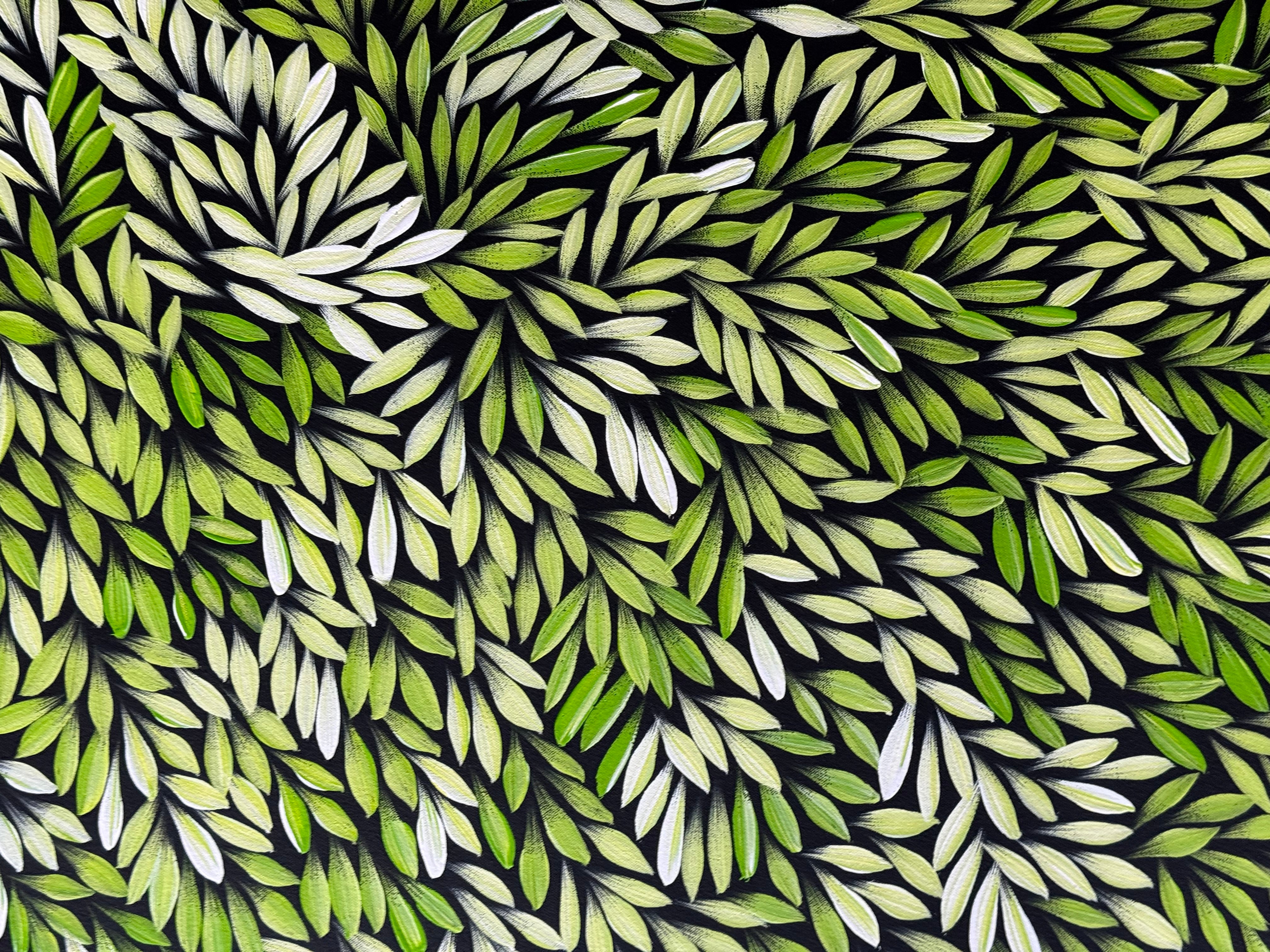 Sharon Numina - Bush Medicine Leaves .33-5