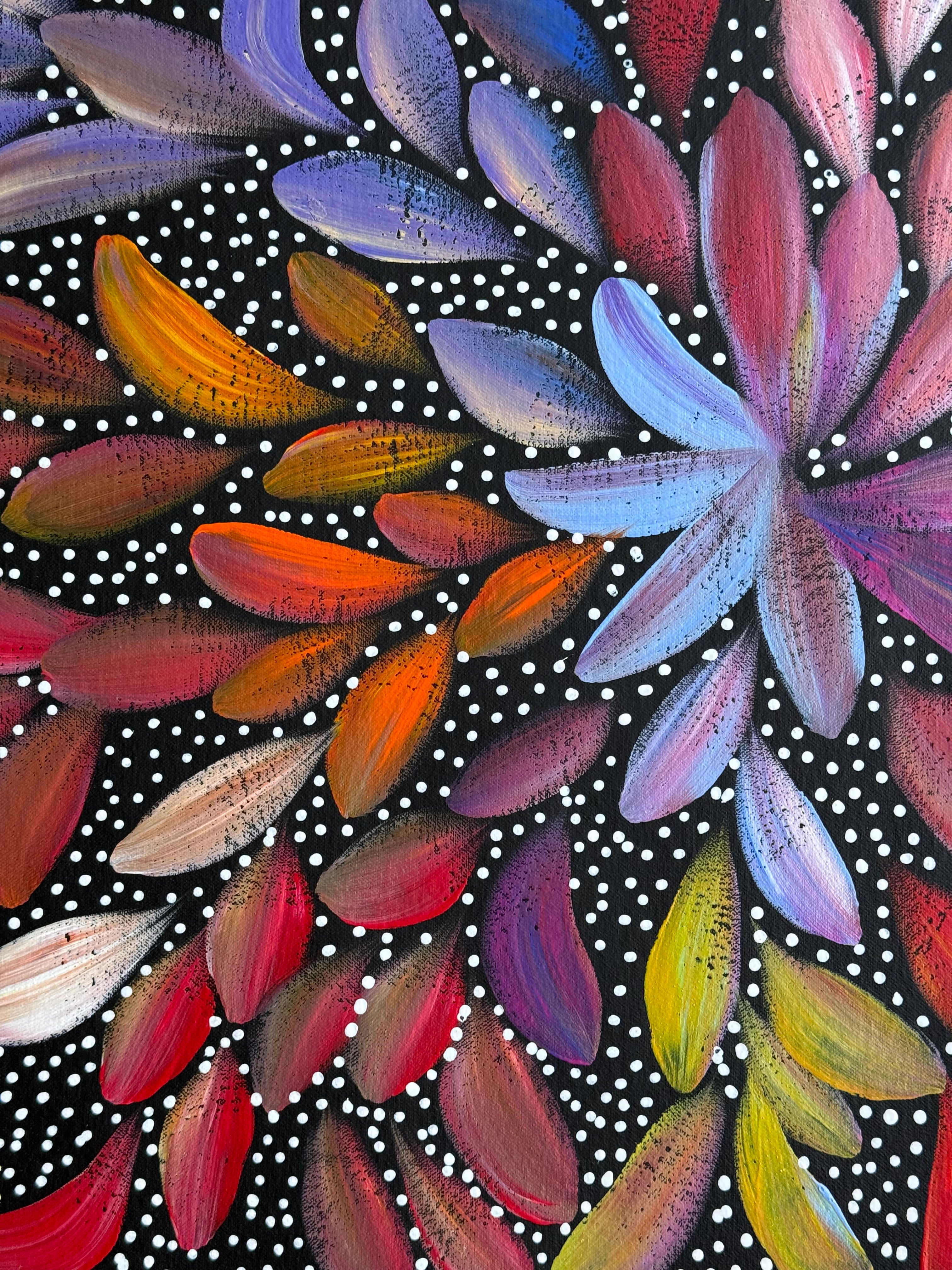 Louise Numina Napananka - Bush Medicine Leaves and Seeds .29-10