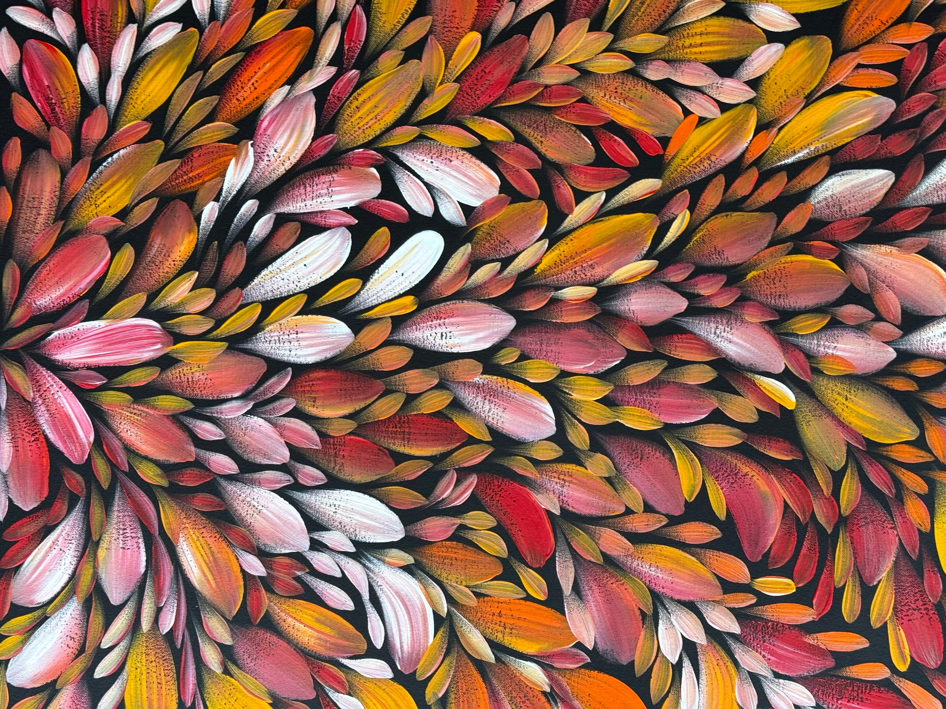 Louise Numina Napananka - Bush Medicine Leaves .57-41