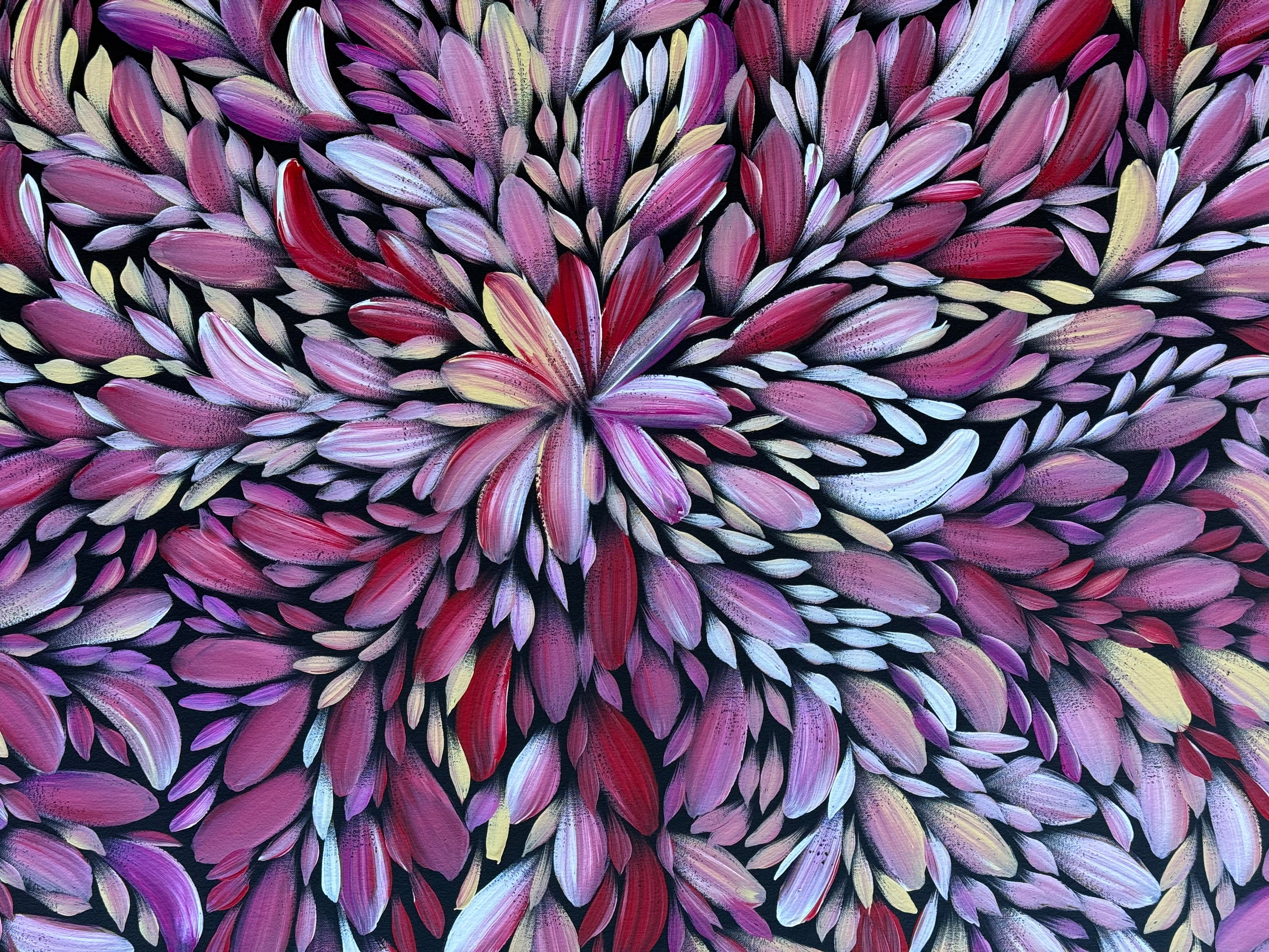 Louise Numina Napananka - Bush Medicine Leaves .41-21