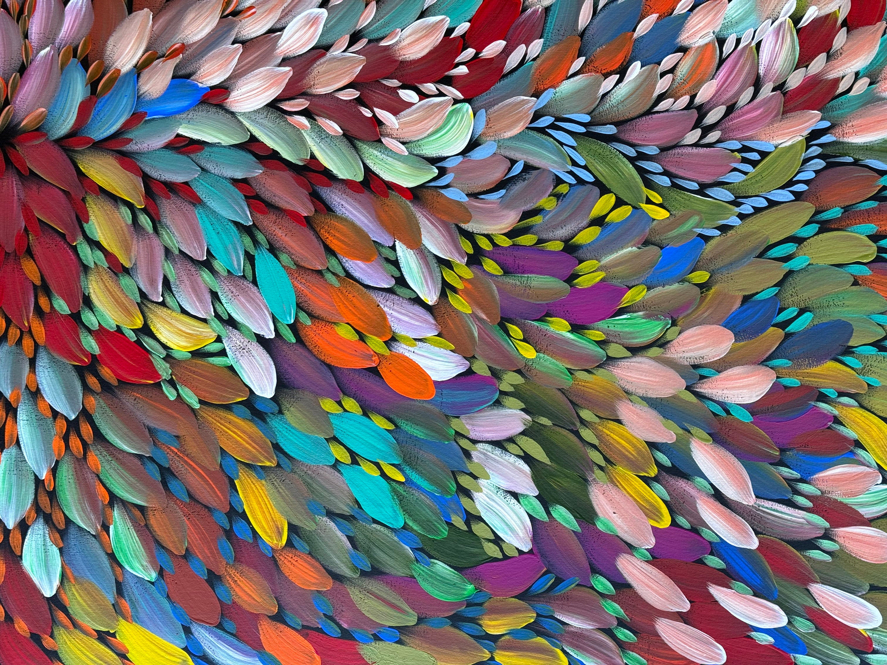 Louise Numina Napananka - Bush Medicine Leaves .41-24