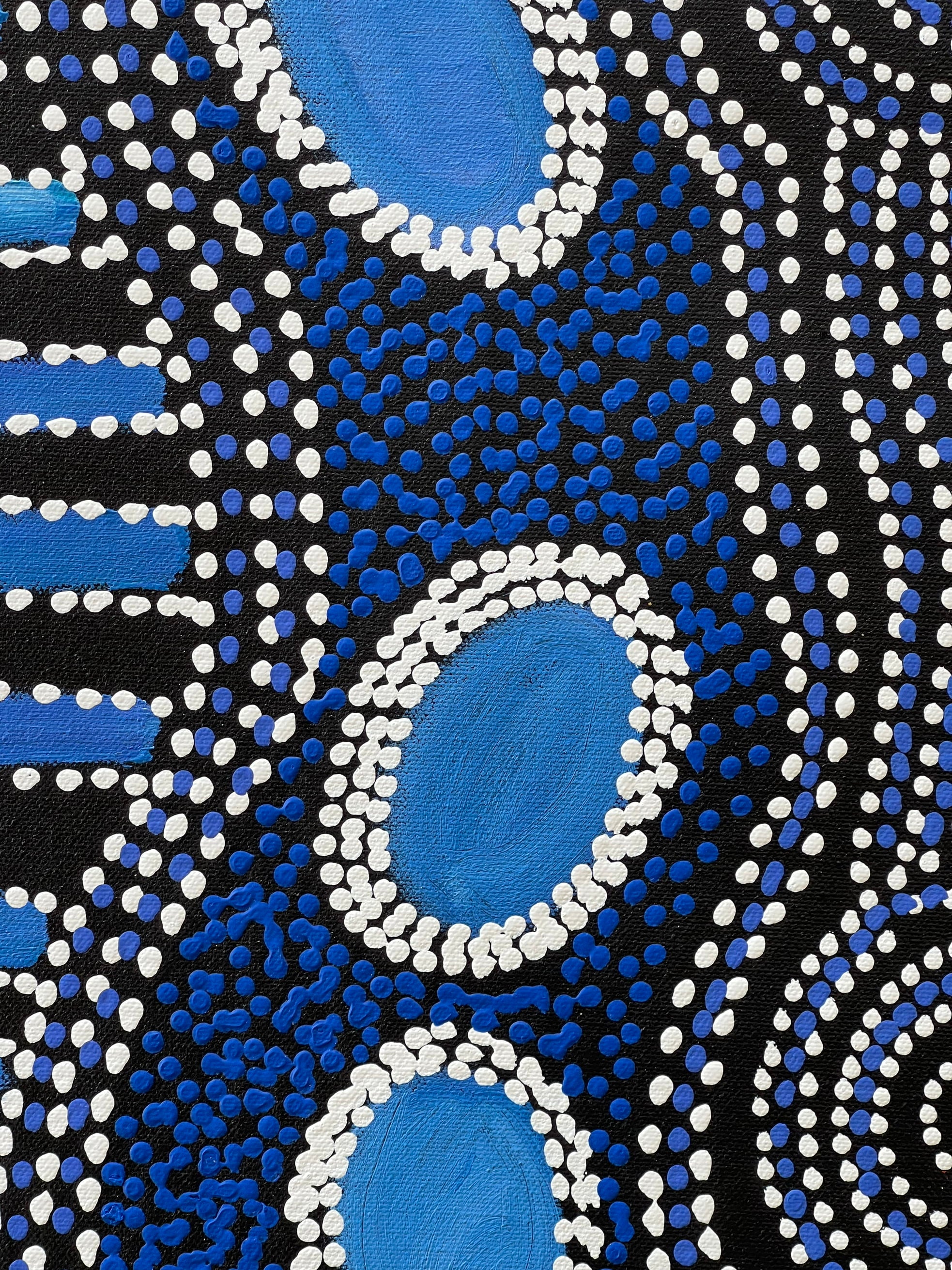 Lanita Numina - My Country Soakage Waterholes .38-3