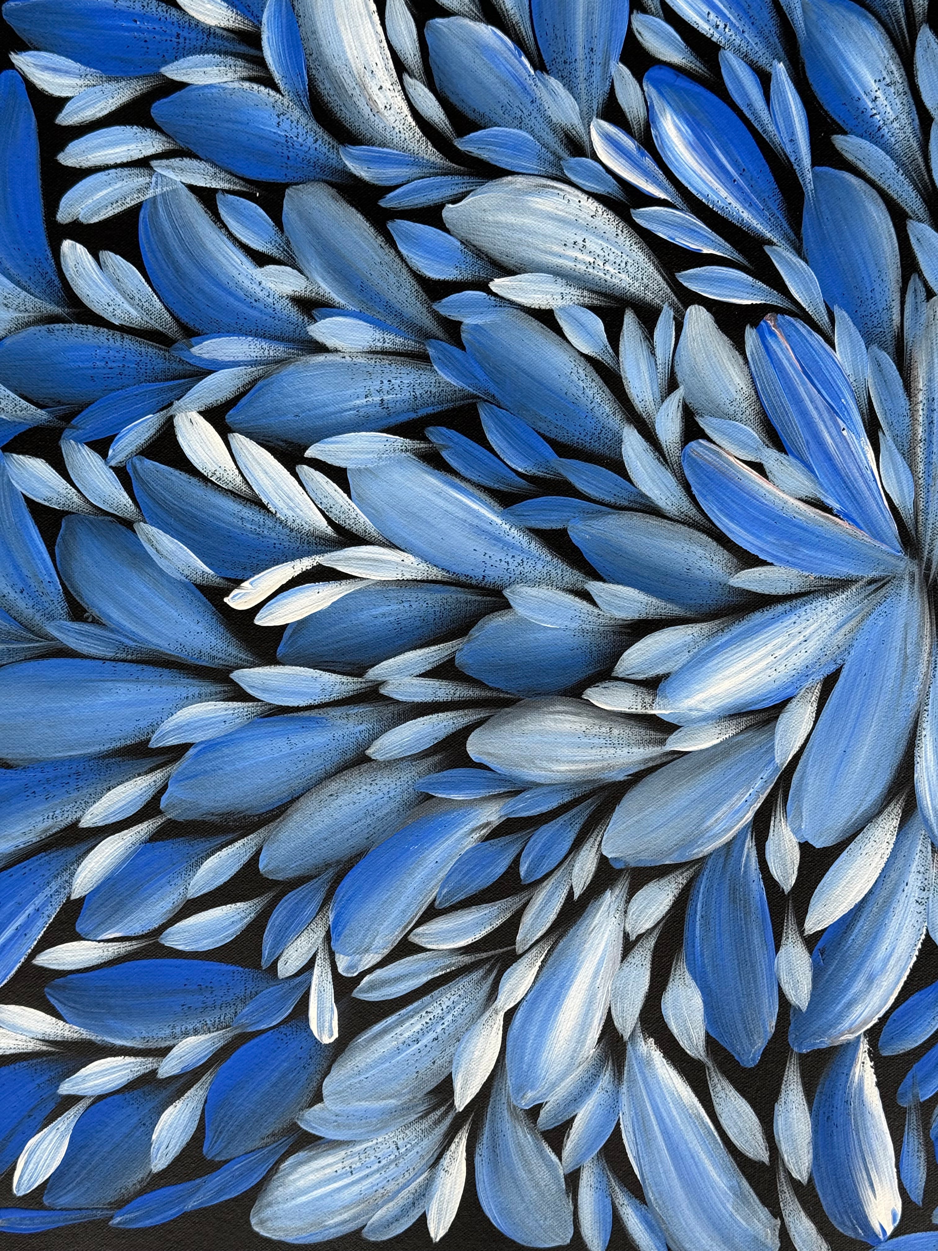 Louise Numina Napananka - Bush Medicine Leaves .75-7