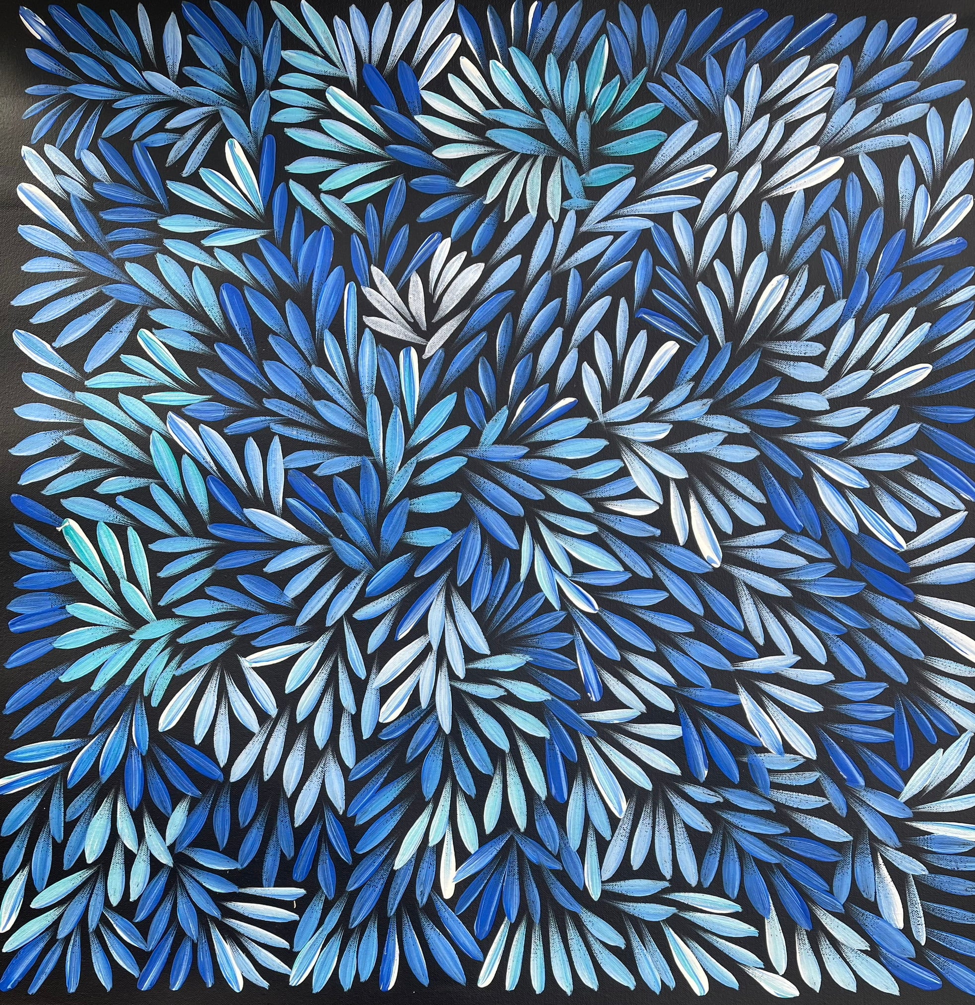 Sharon Numina - Bush Medicine Leaves - 58x60cm .28-6