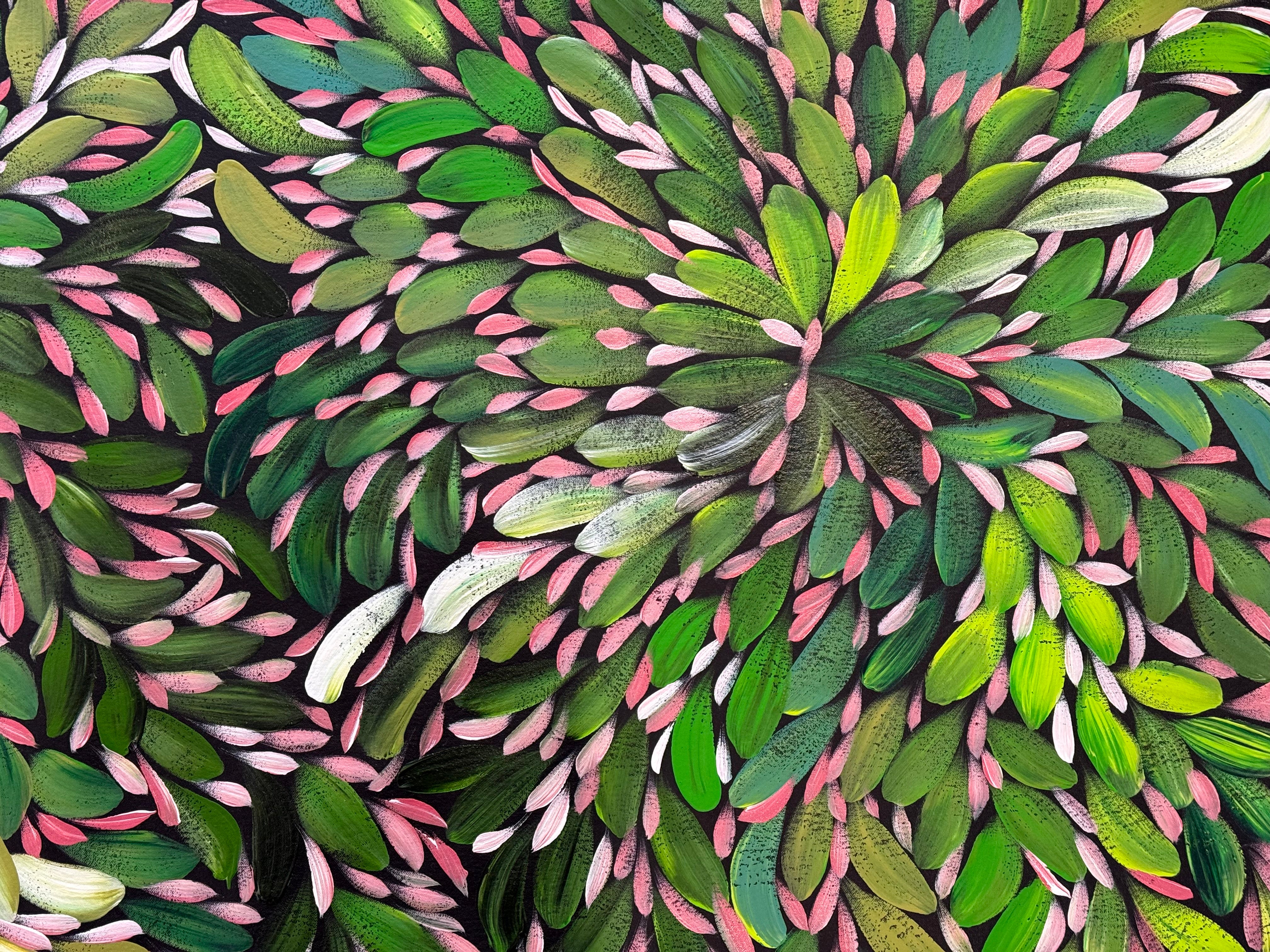 Louise Numina Napananka - Bush Medicine Leaves .22-31