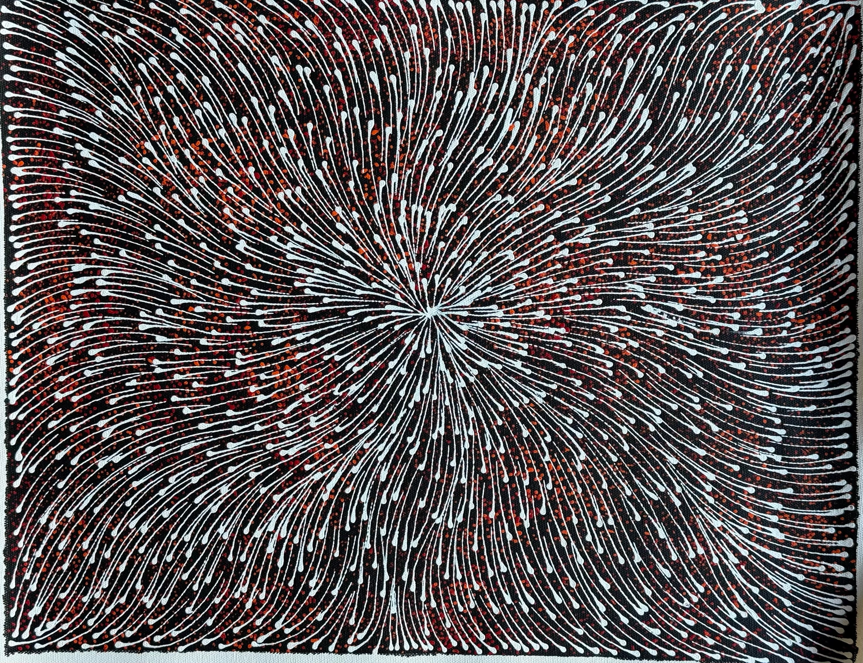Sharon Numina - Bush Medicine Seeds .50-24