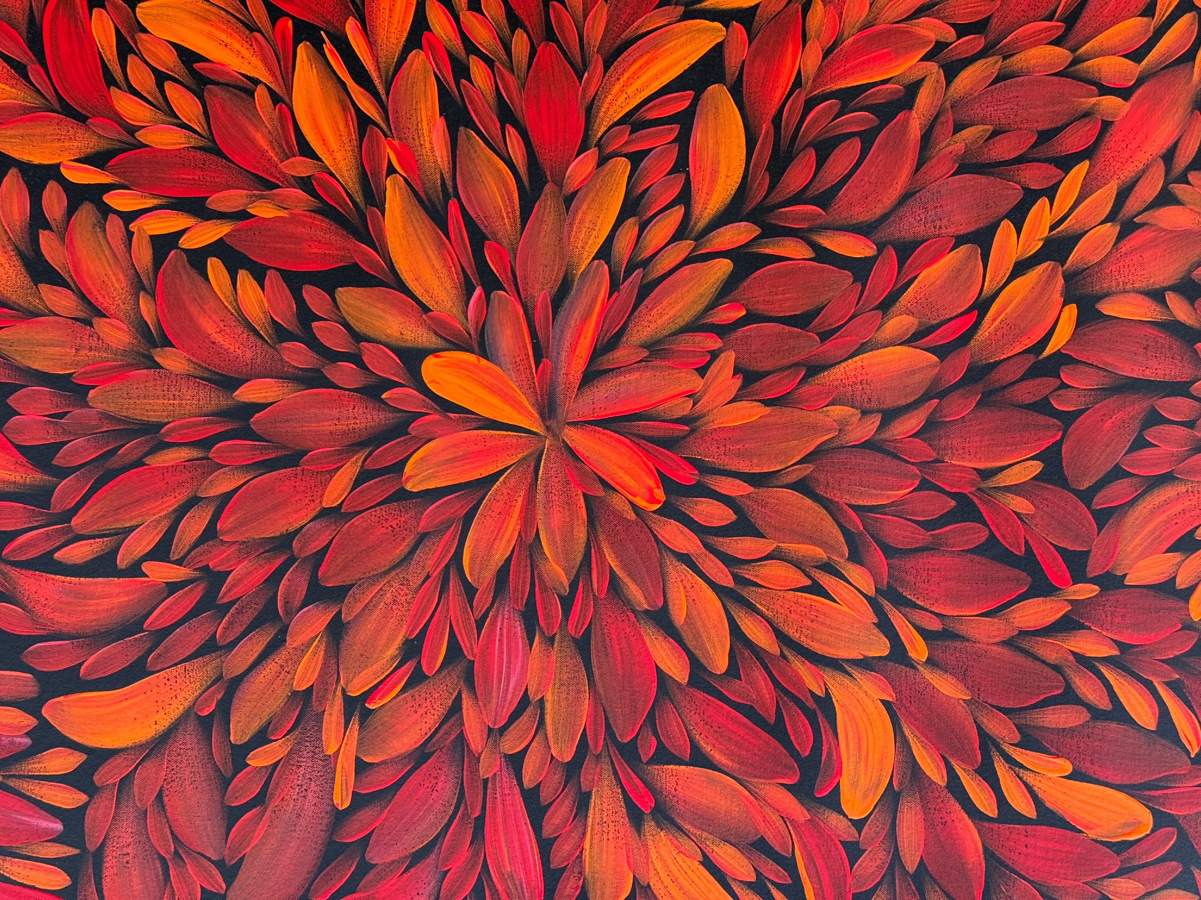 Louise Numina Napananka - Bush Medicine Leaves .57-45