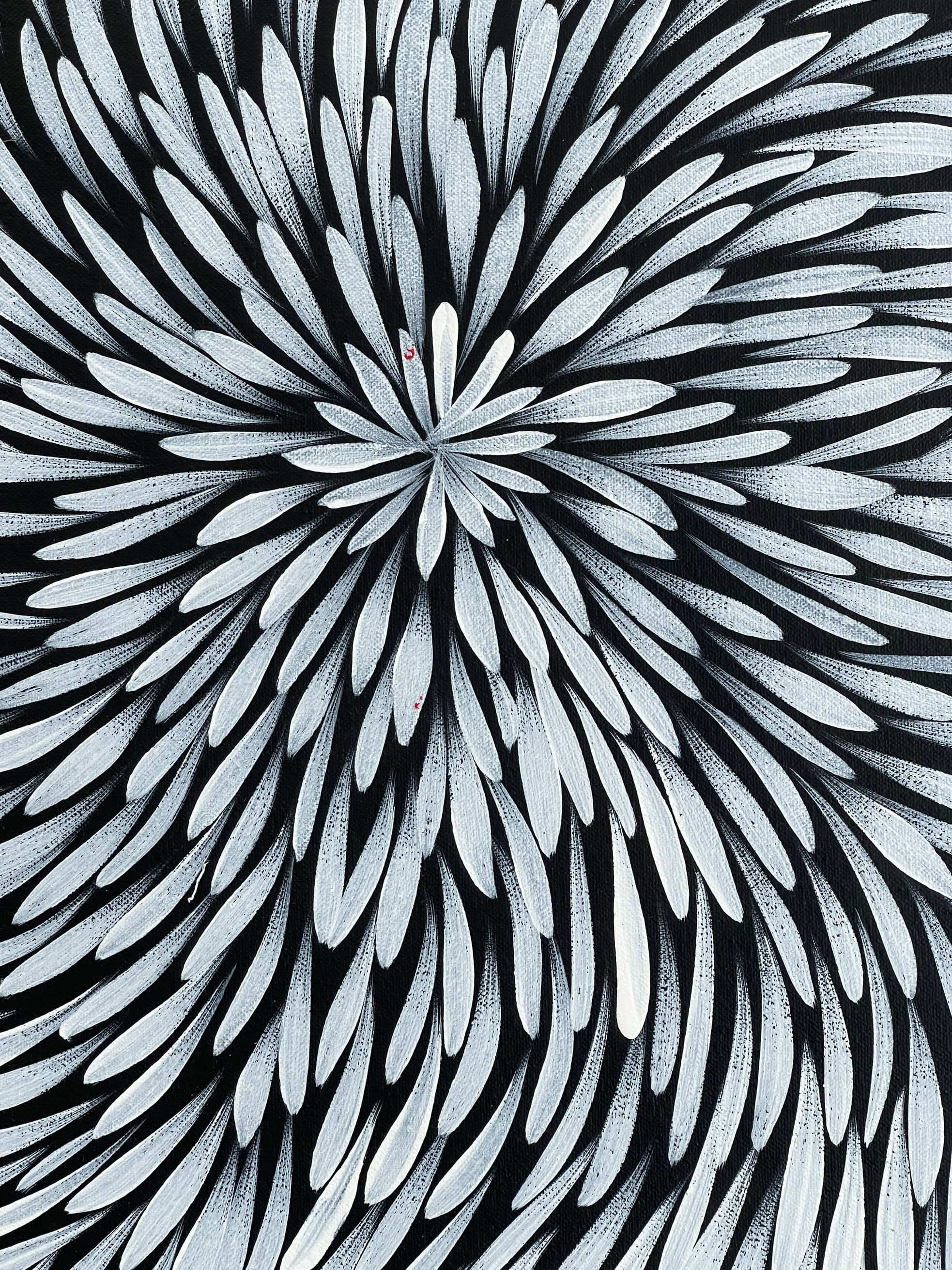 Sharon Numina - Bush Medicine Leaves - 56x58cm .28-17