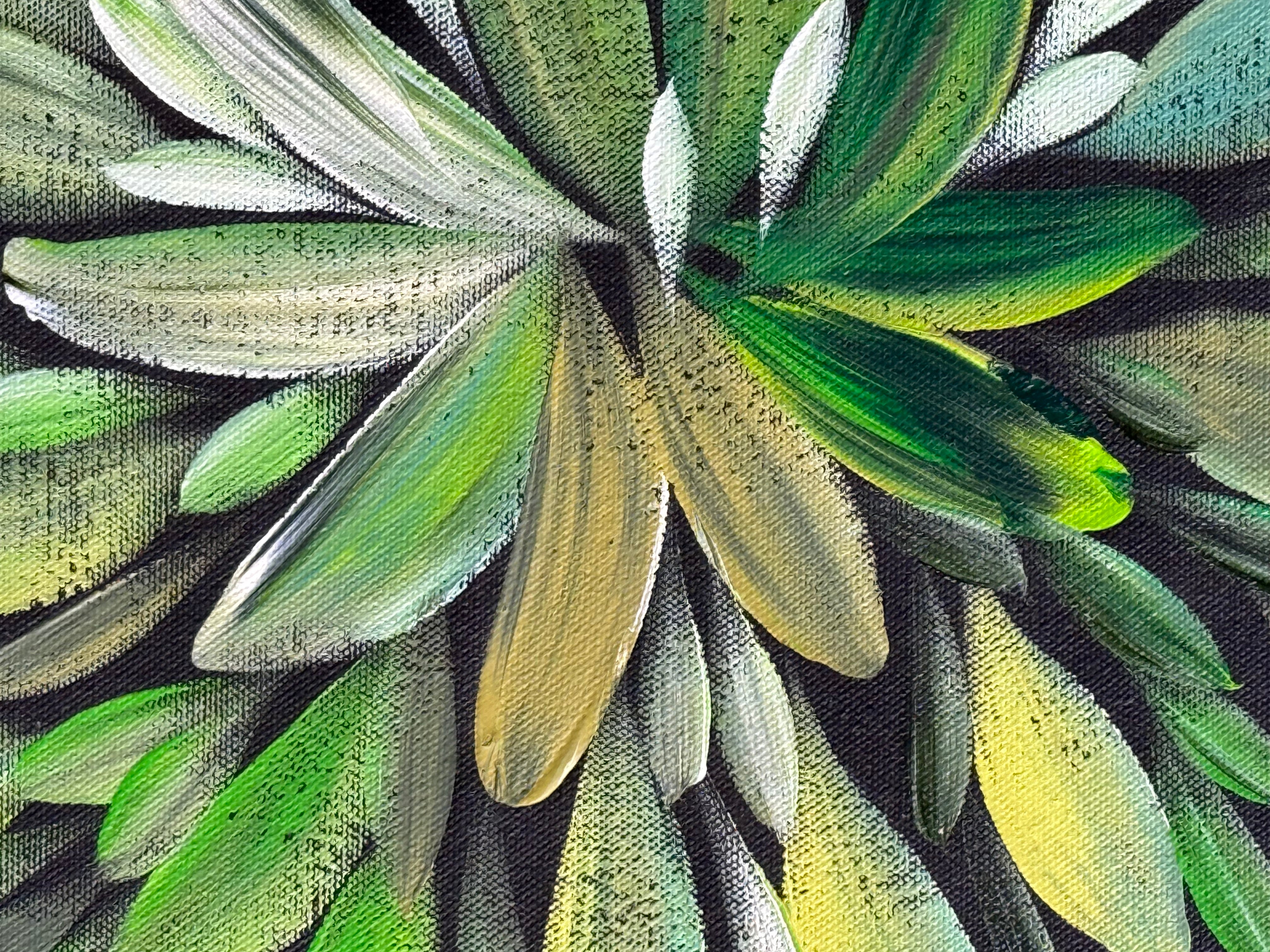 Louise Numina Napananka - Bush Medicine Leaves .22-32
