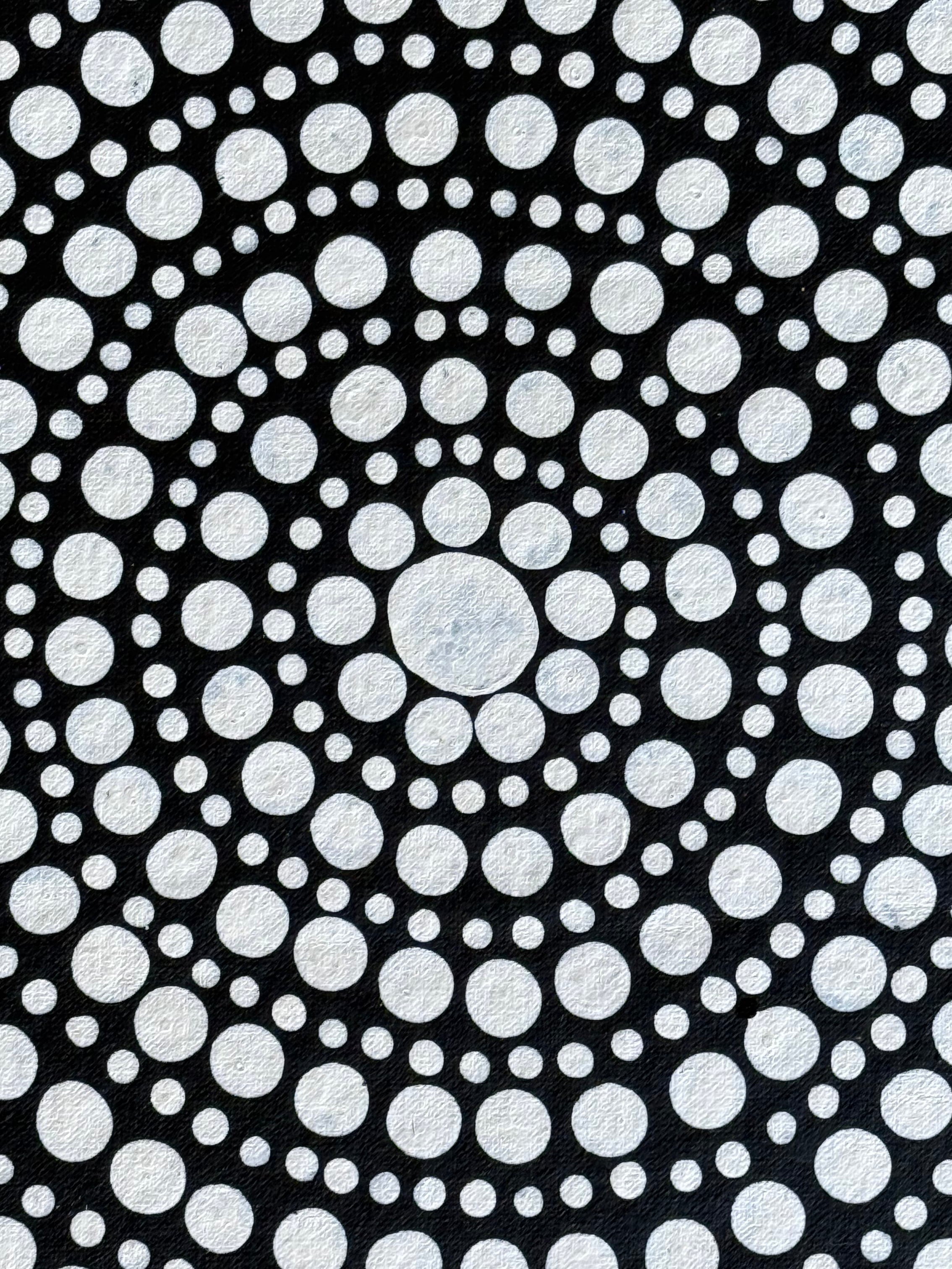 Susie Pollard - Water Hole Dreaming .64-2