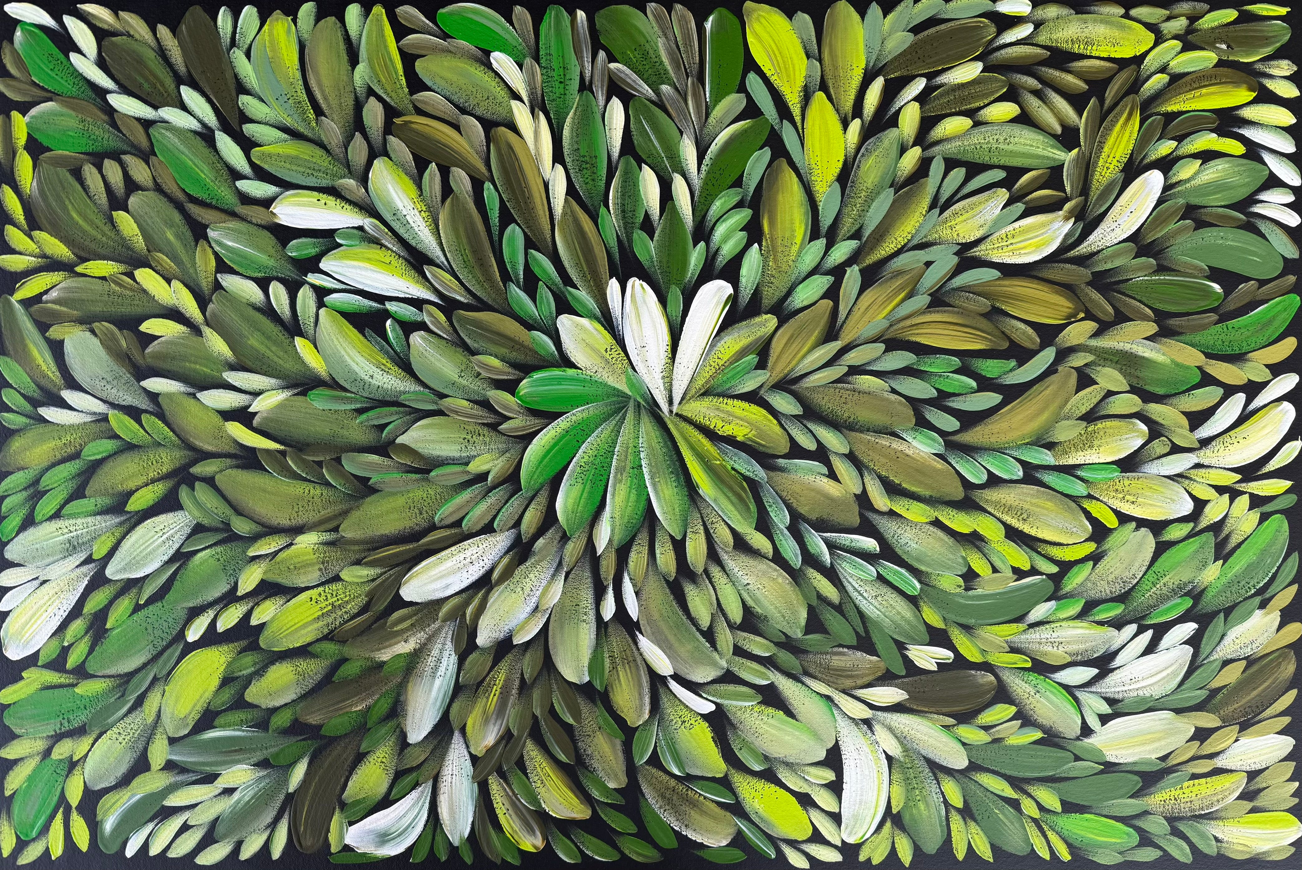 Louise Numina Napananka - Bush Medicine Leaves .65-1
