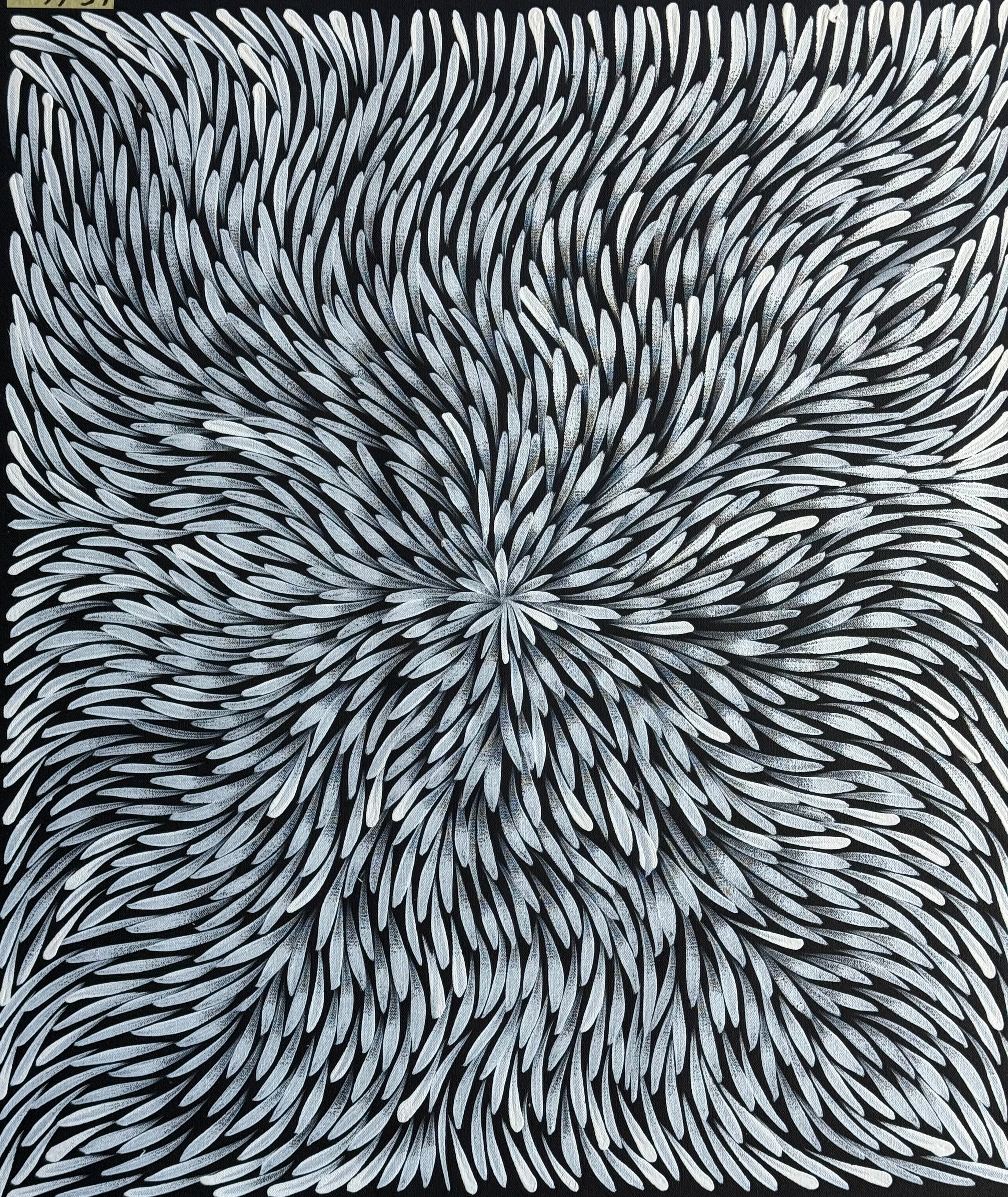 Sharon Numina - Bush Medicine Leaves .01-7