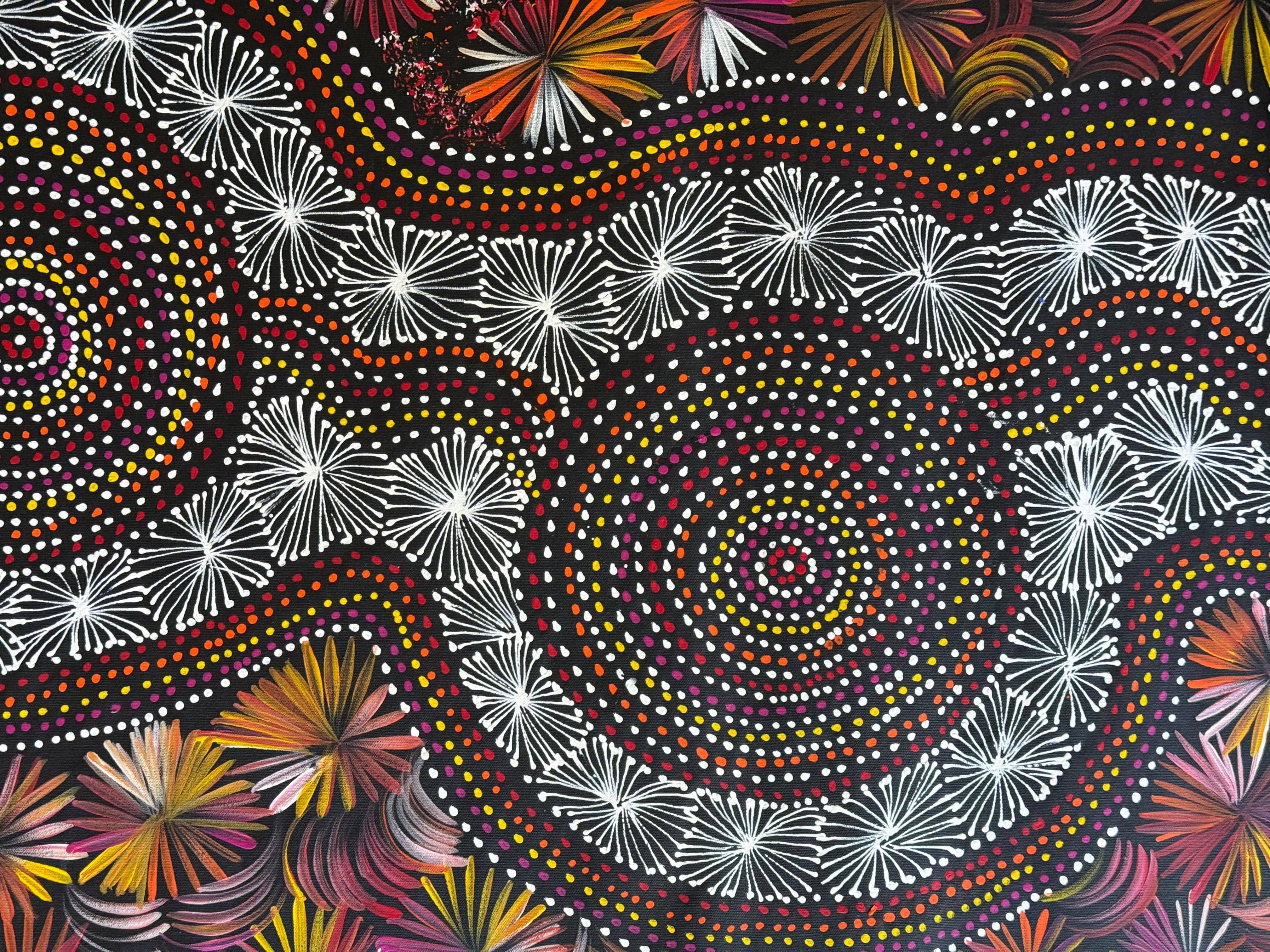 Selina Numina Kamprina - Seeds and Waterholes .92-23