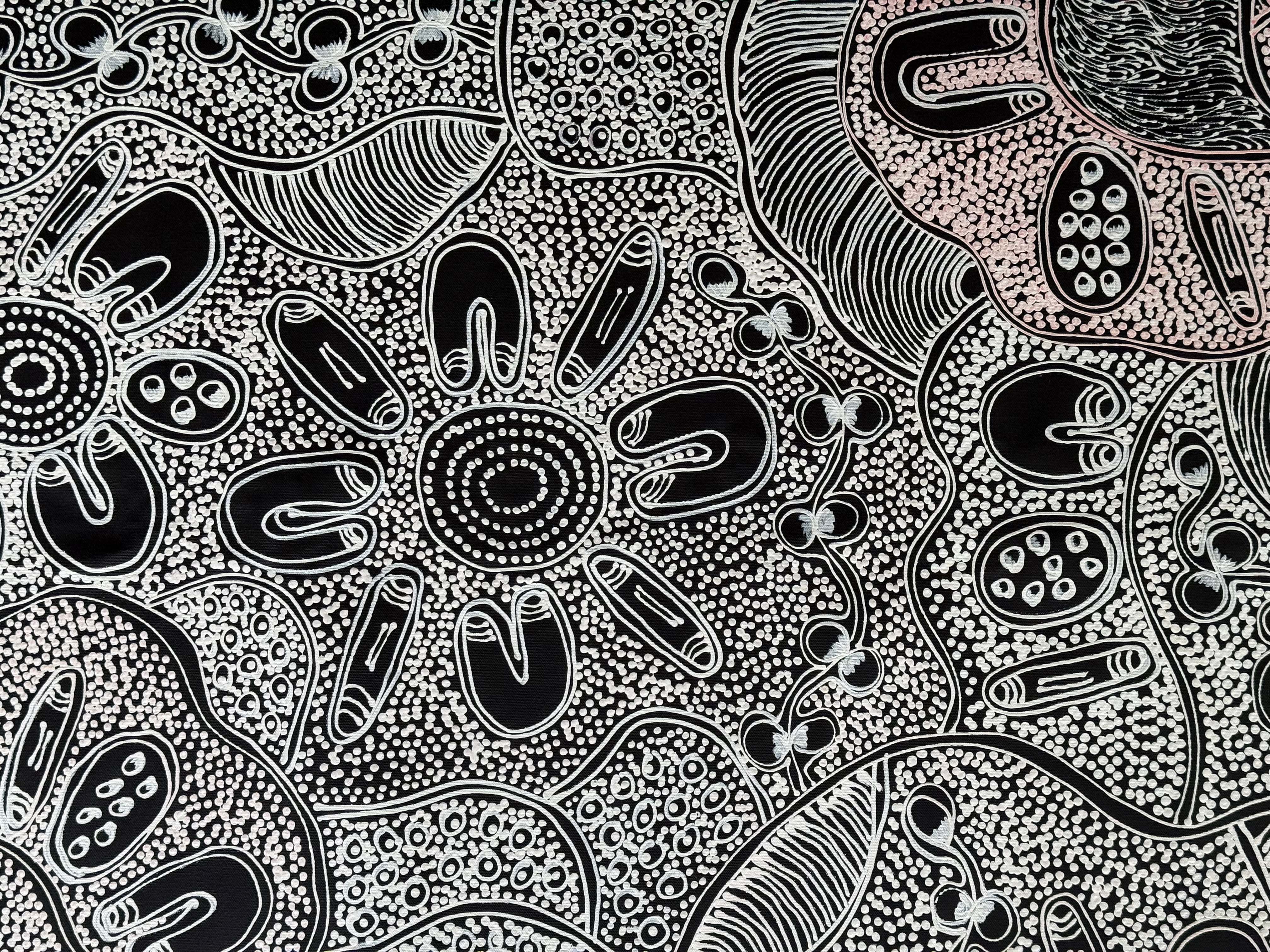 Lanita Numina - Women Collect Bushplums .80-4