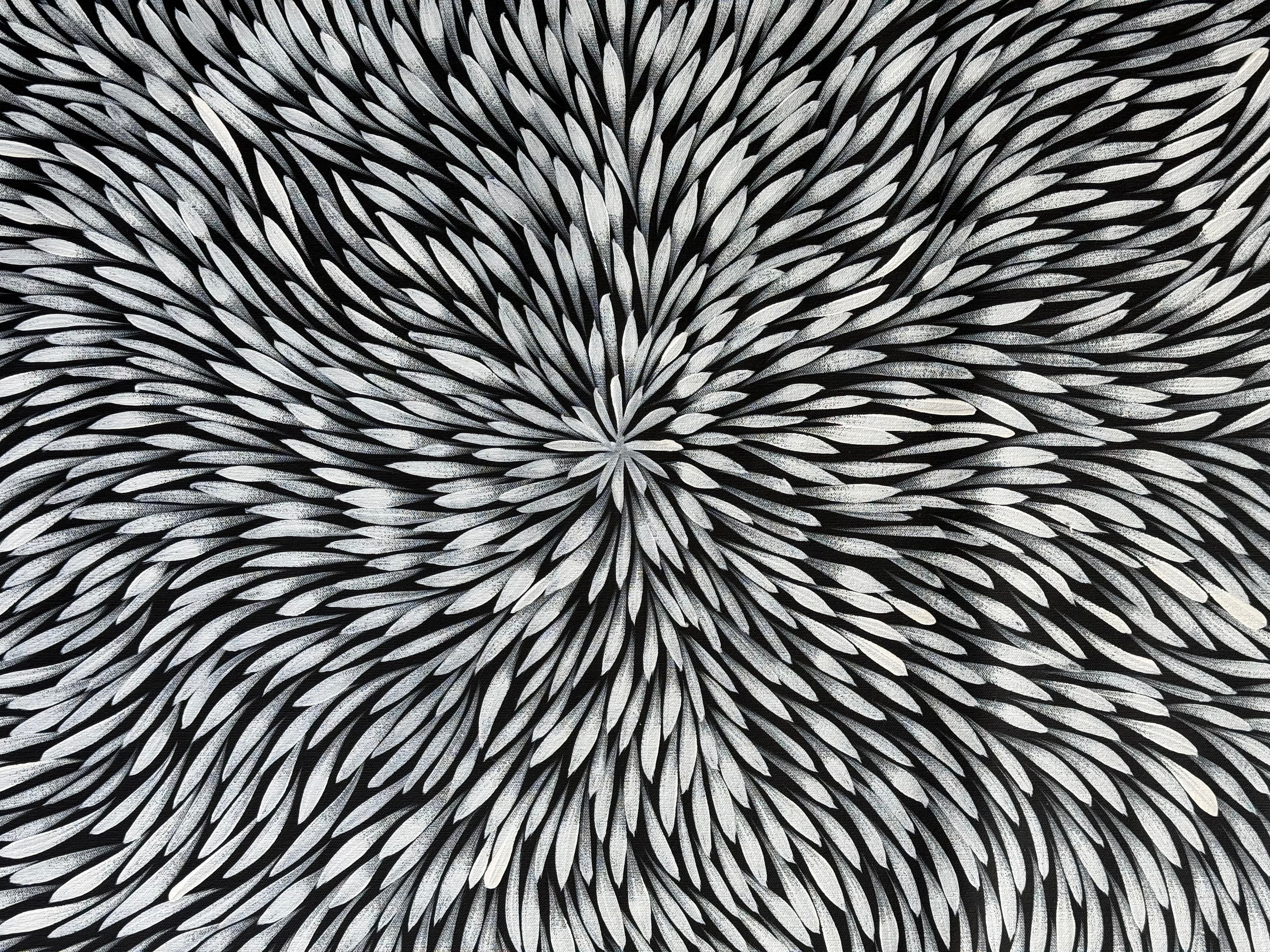 Sharon Numina - Bush Medicine Leaves .95-8