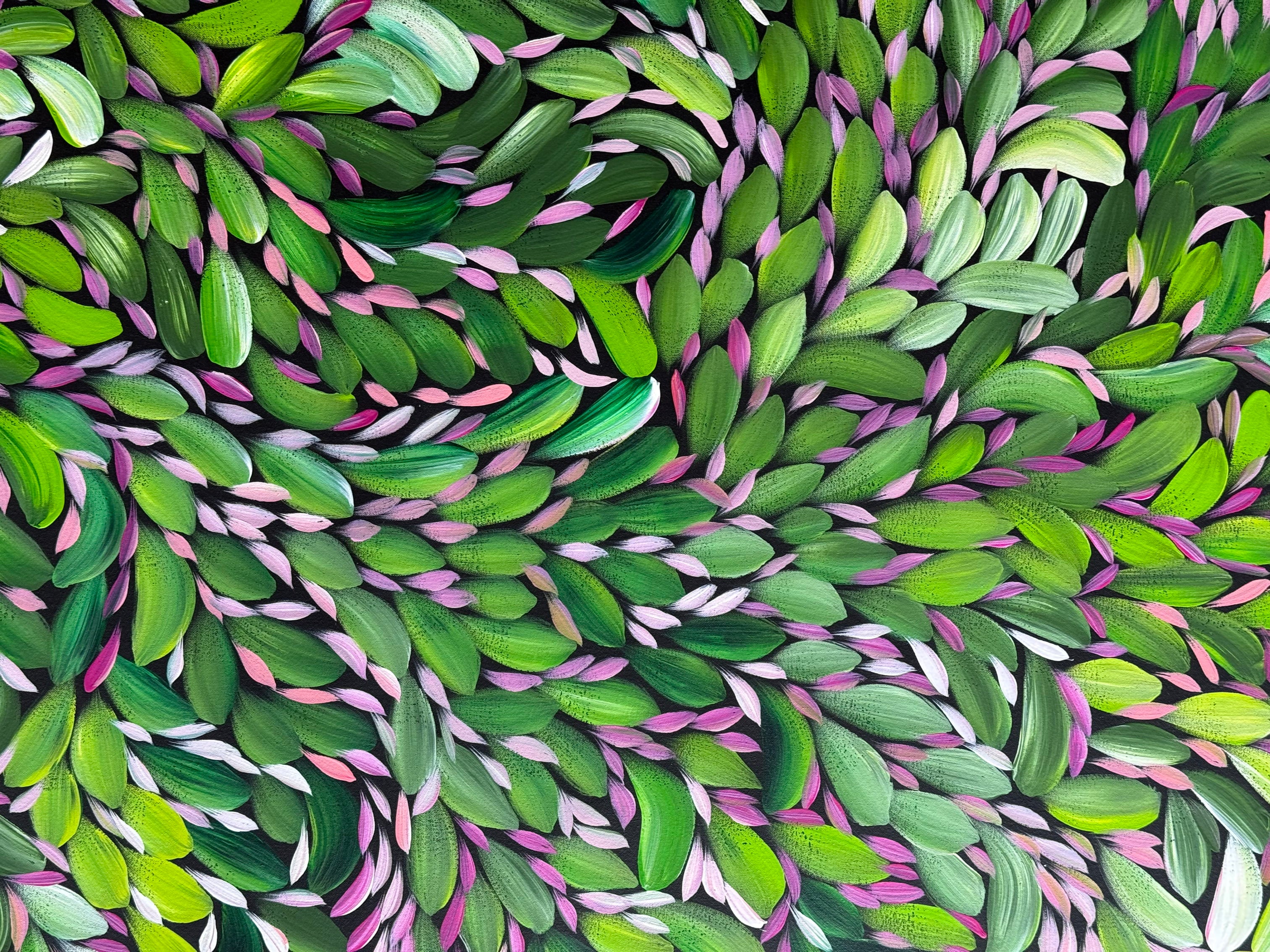 Louise Numina Napananka - Bush Medicine Leaves .23-3