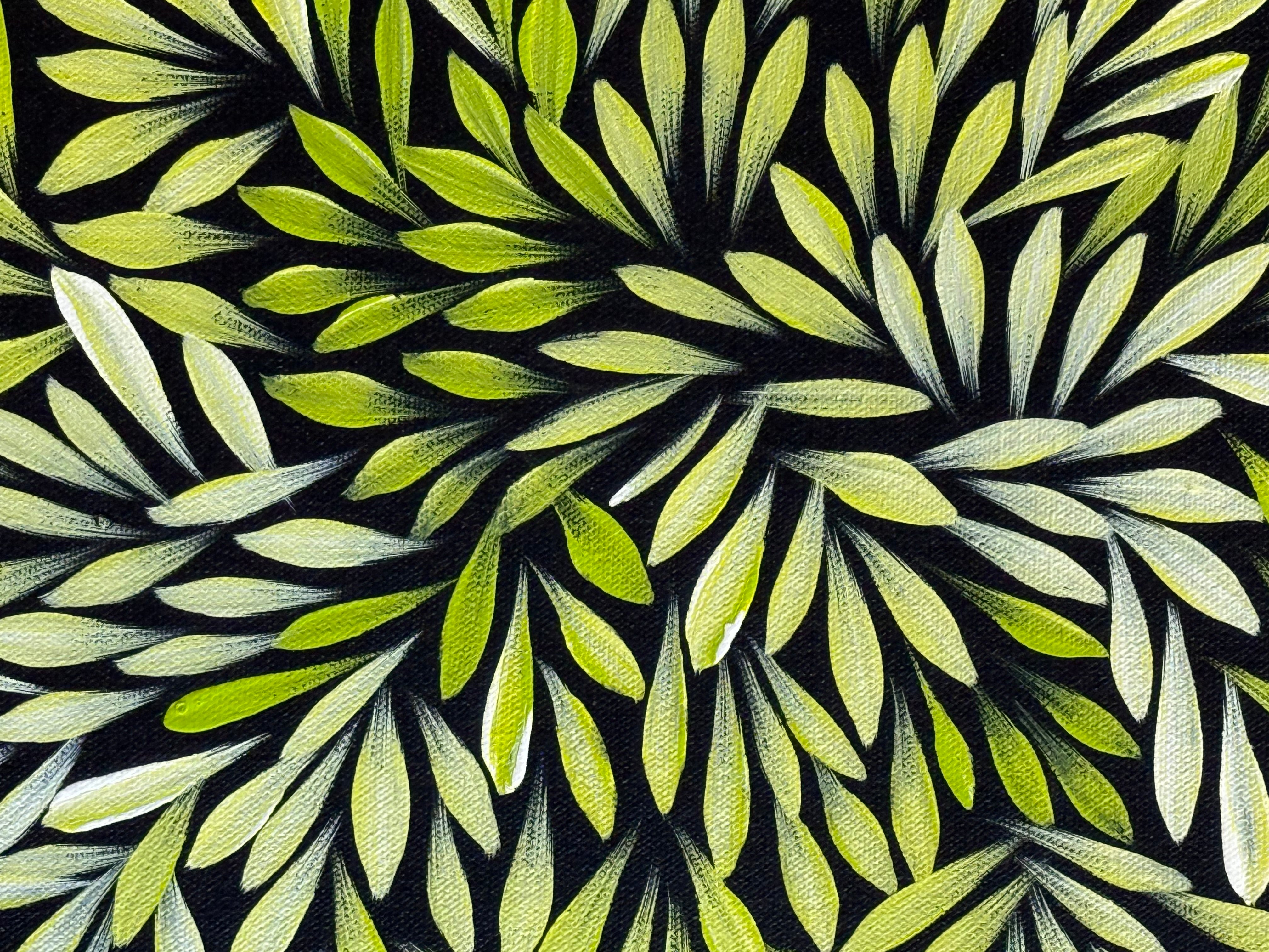 Sharon Numina - Bush Medicine Leaves .14-67