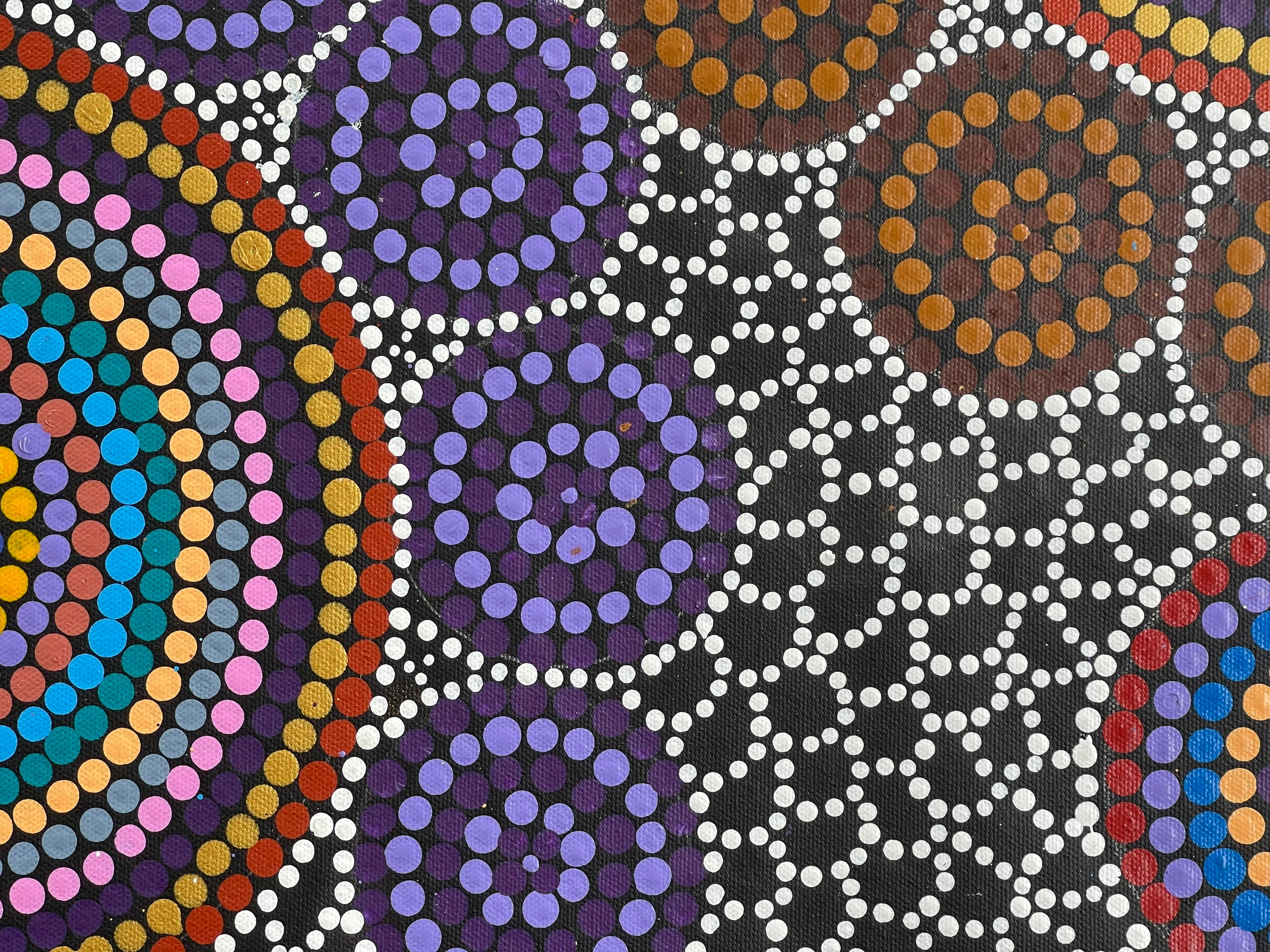 Maryanne Gibson - Bush Flowers, Bush Seeds, and Bush Medicine .27-1