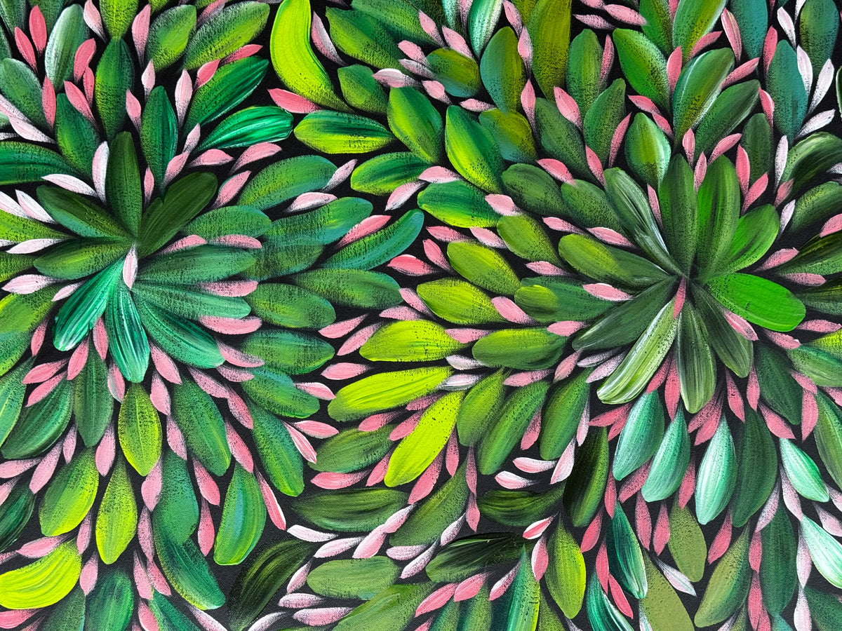 Louise Numina Napananka - Bush Medicine Leaves .22-18