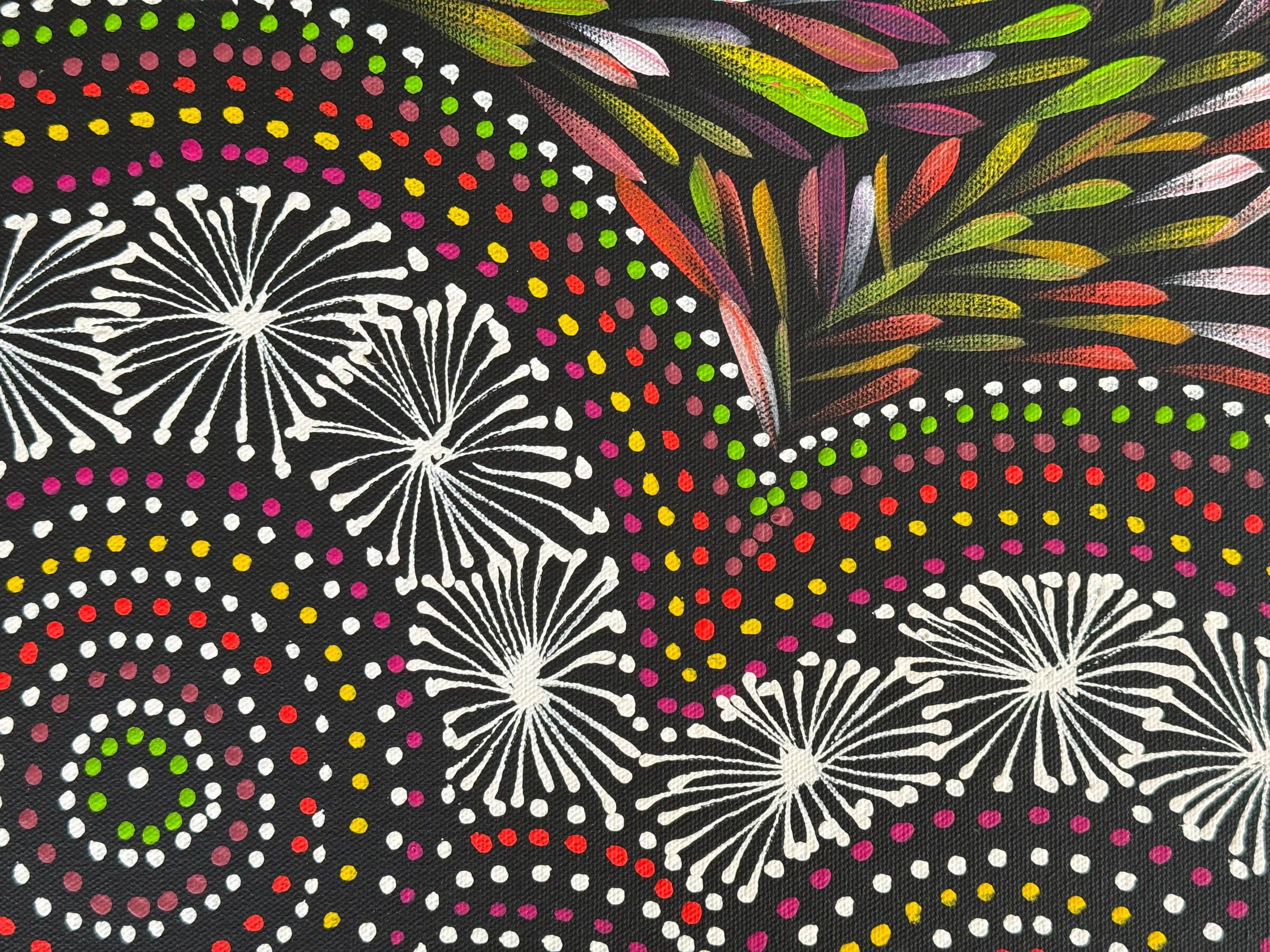 Selina Numina Kamprina - Bush Medicine Leaves, Waterholes, Seeds - 55x40cm .31-29