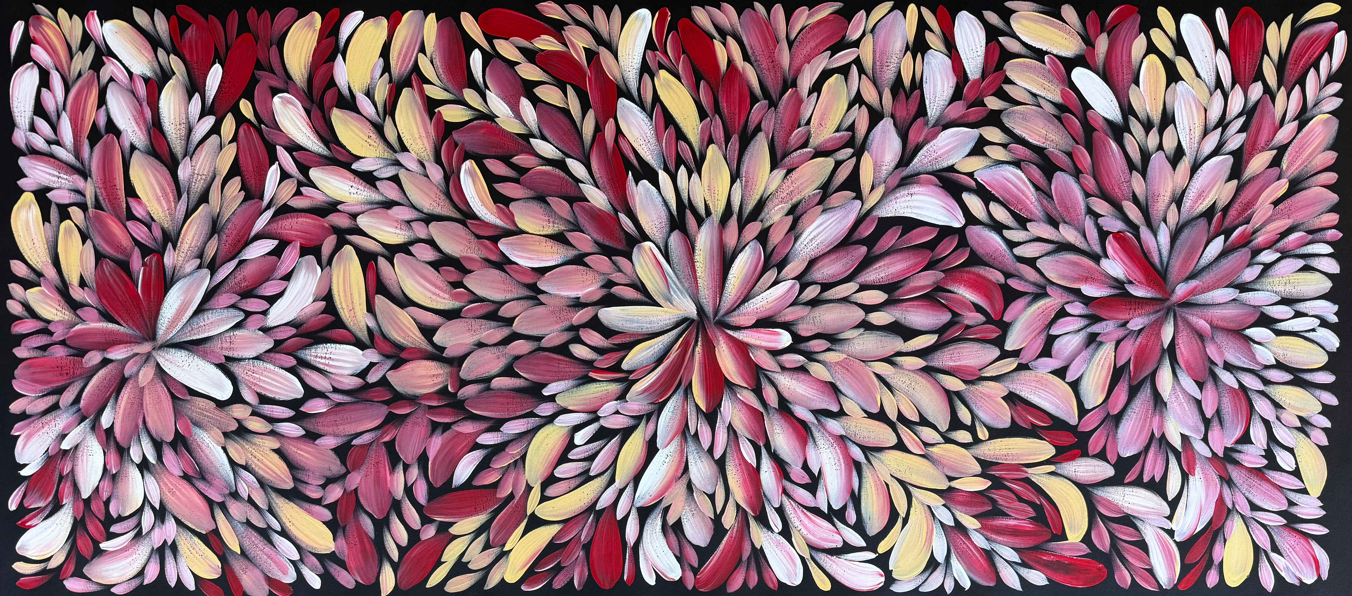 Louise Numina Napananka - Bush Medicine Leaves .57-49