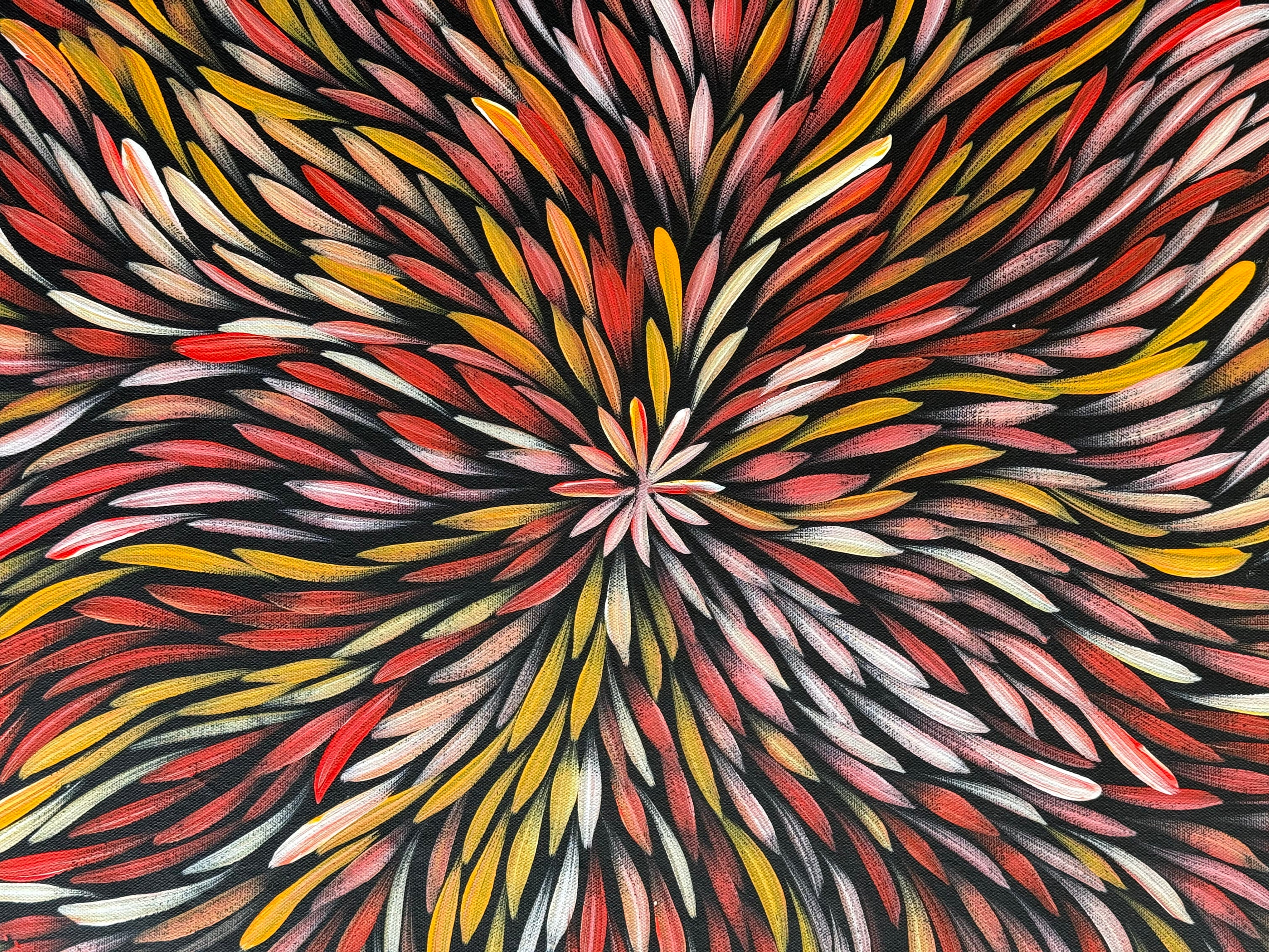 Sharon Numina - Bush Medicine Leaves .14-24