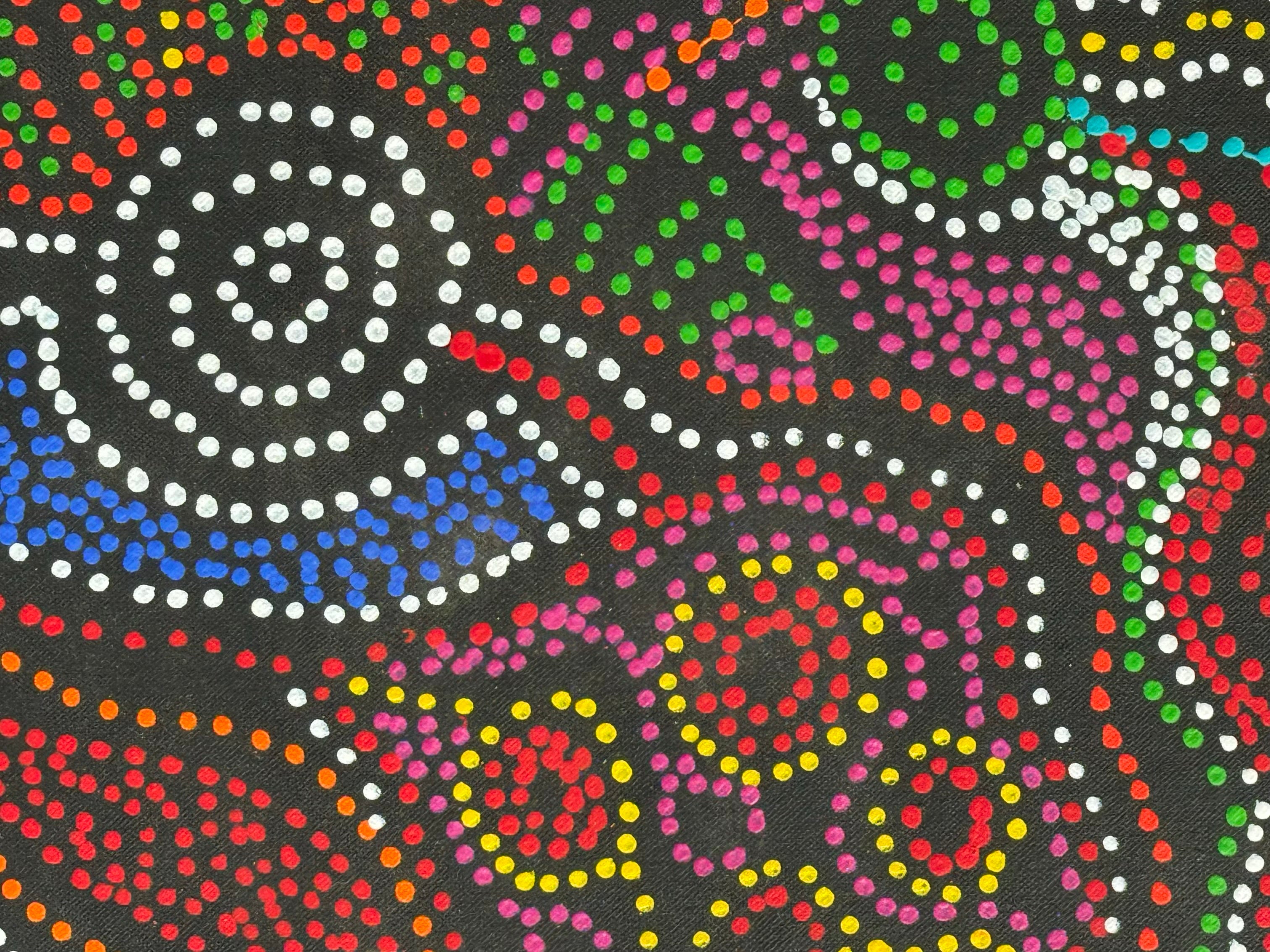Louise Numina Napananka - Emu Dreaming .65-14