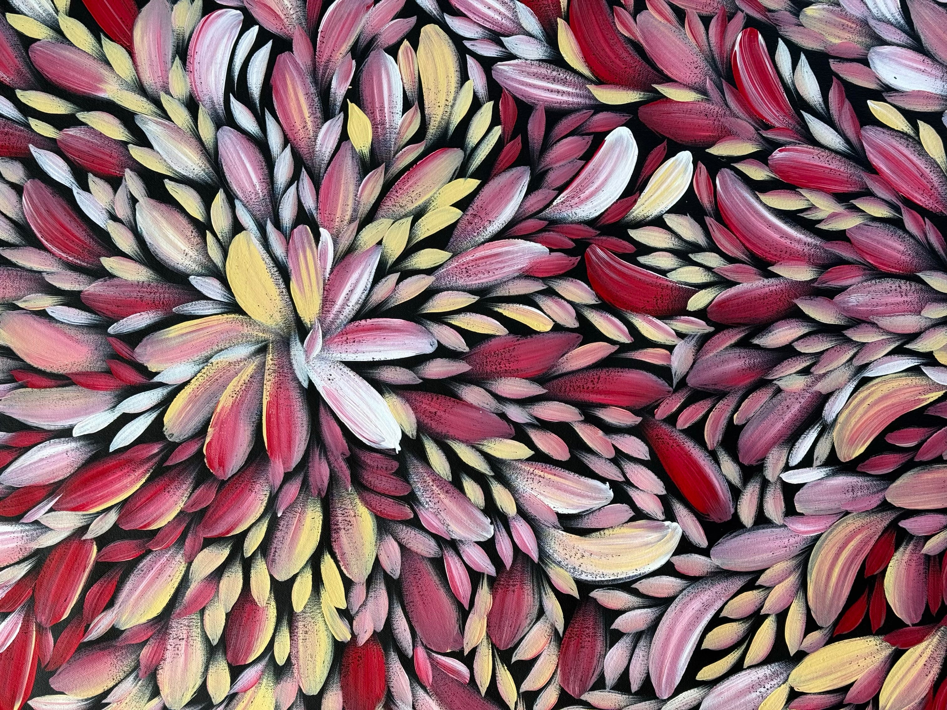Louise Numina Napananka - Bush Medicine Leaves .41-22