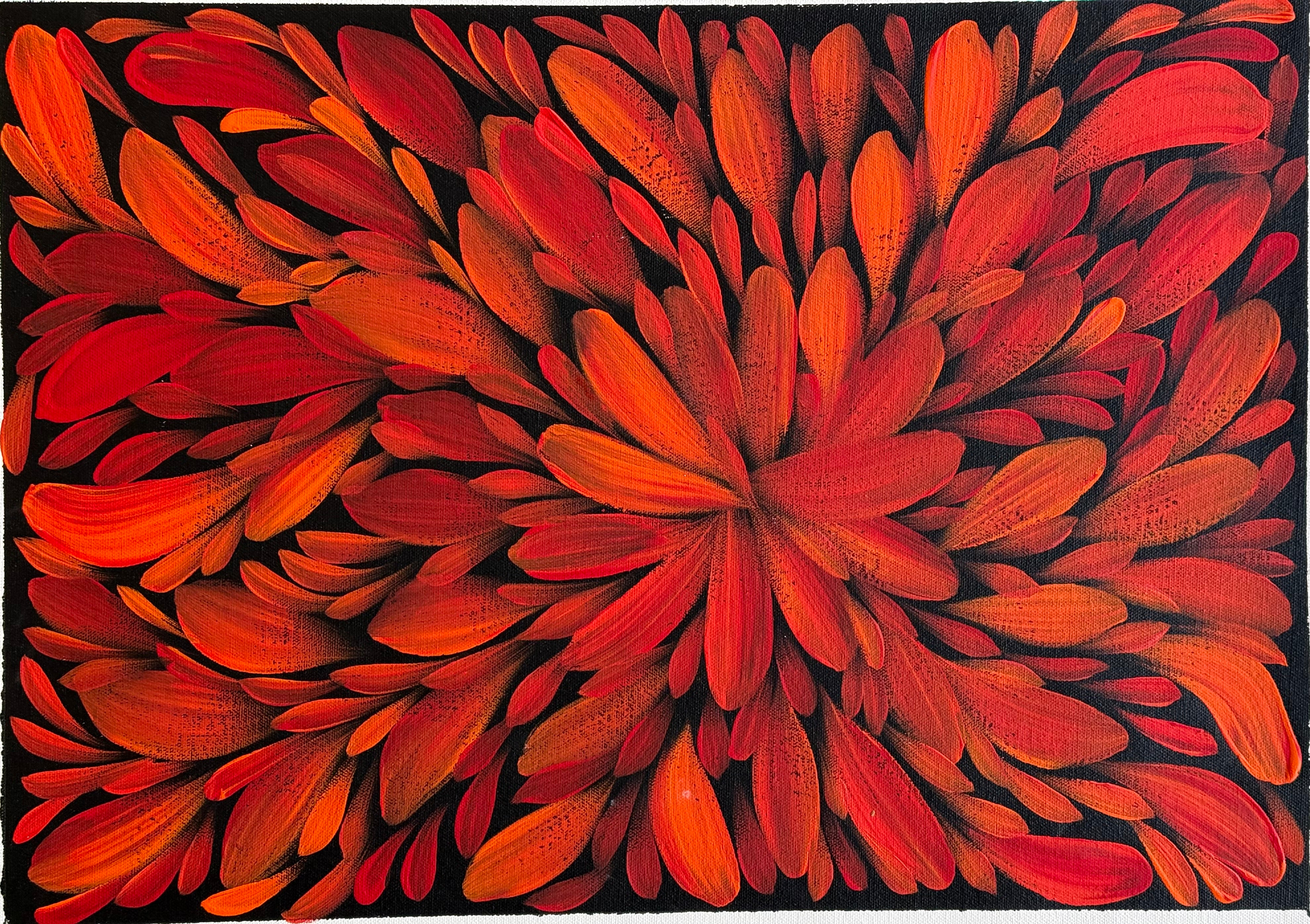 Louise Numina Napananka - Bush Medicine Leaves .57-28